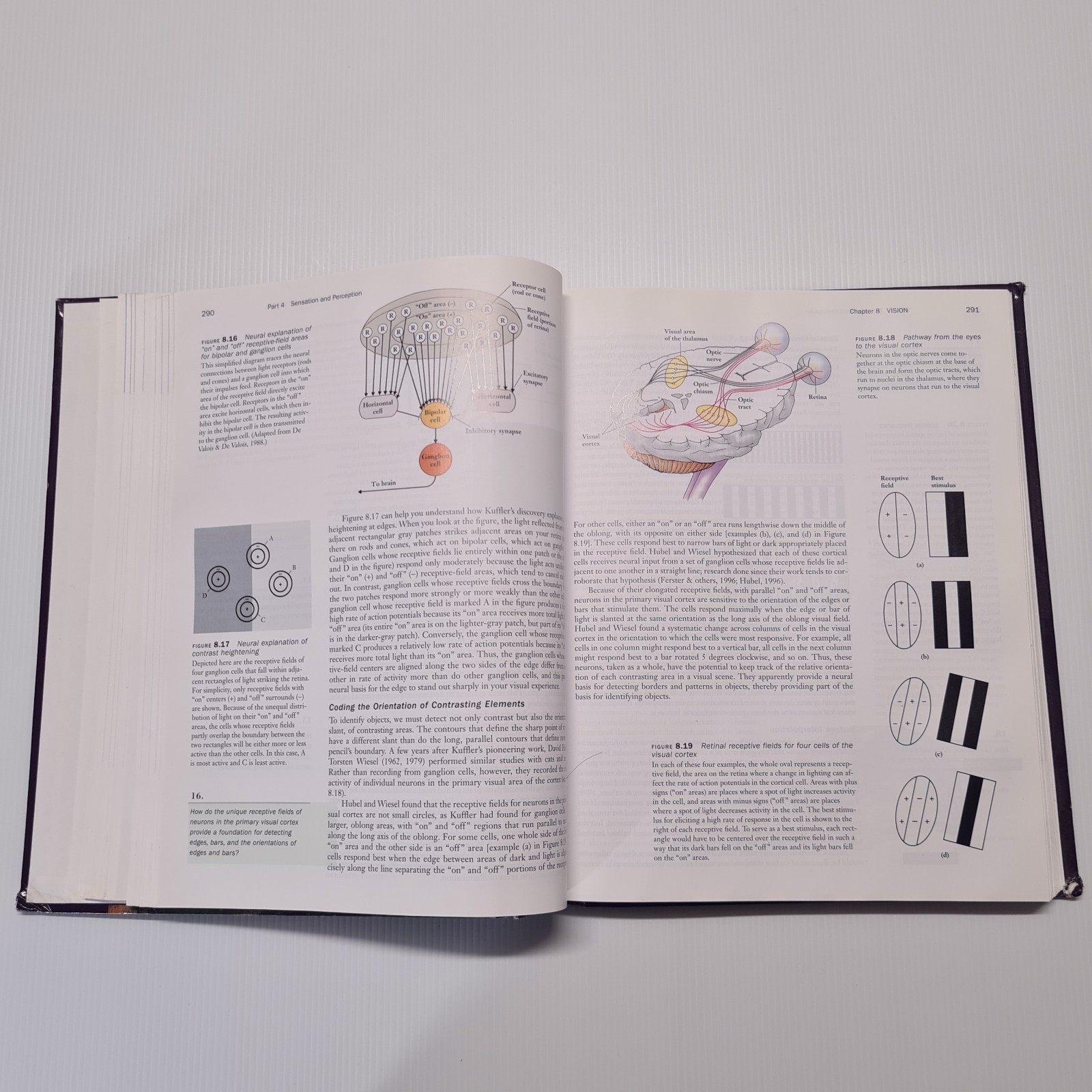 Psychology 4th Edition Peter Gray Textbook Worth Publishers Uni Study Learning