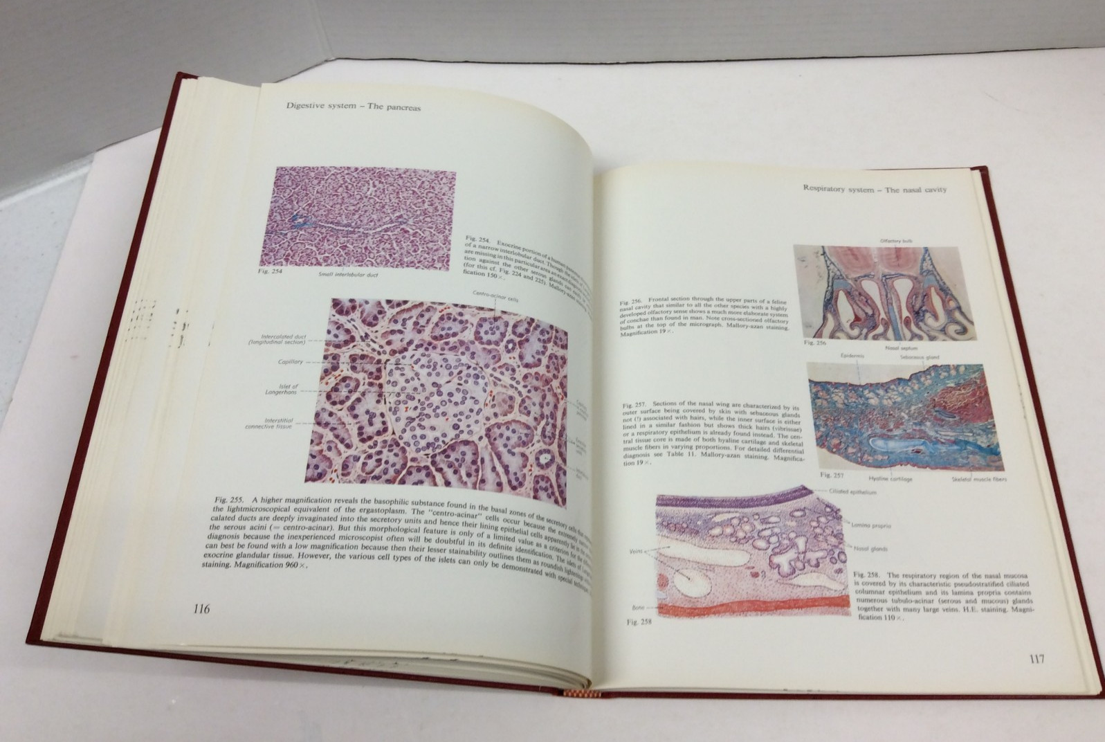 HISTOLOGY: A COLOR ATLAS Sobotta/Hammersen Illustrated HC 1976