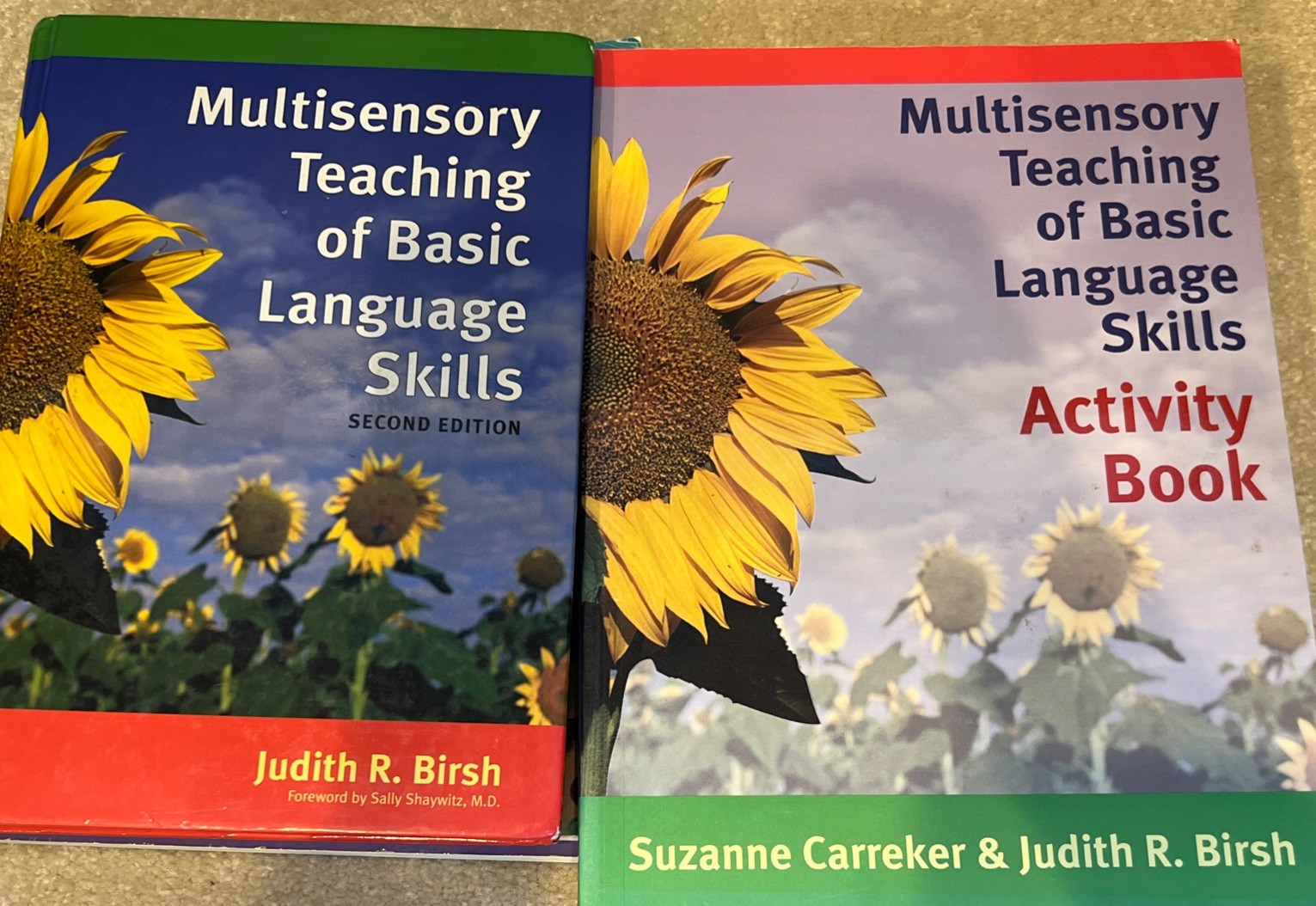 Multisensory Teaching of Basic Language Skills Activity book