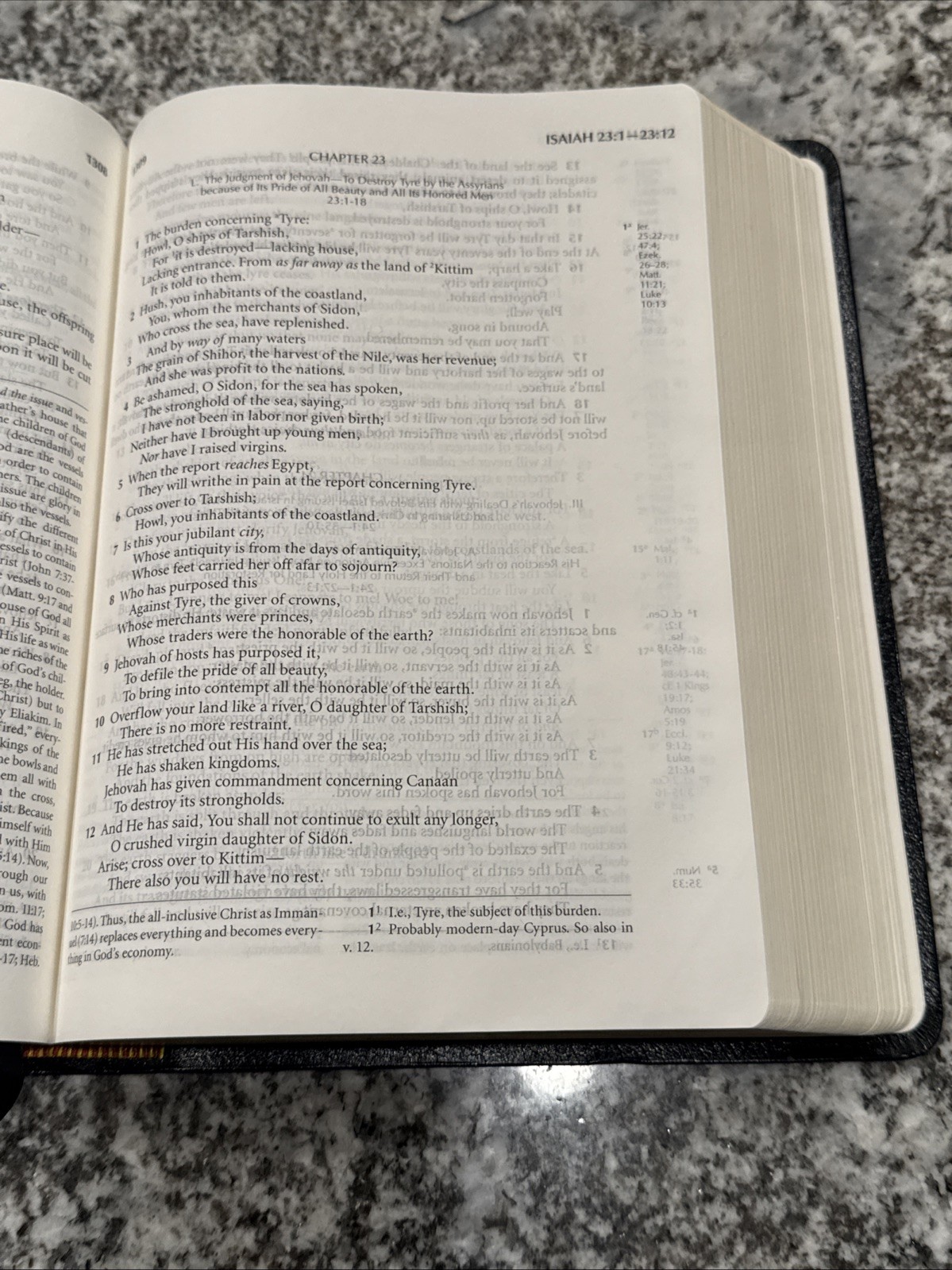 Holy Bible Recovery Version Bonded Leather Black 2003 Reference Notes LSM