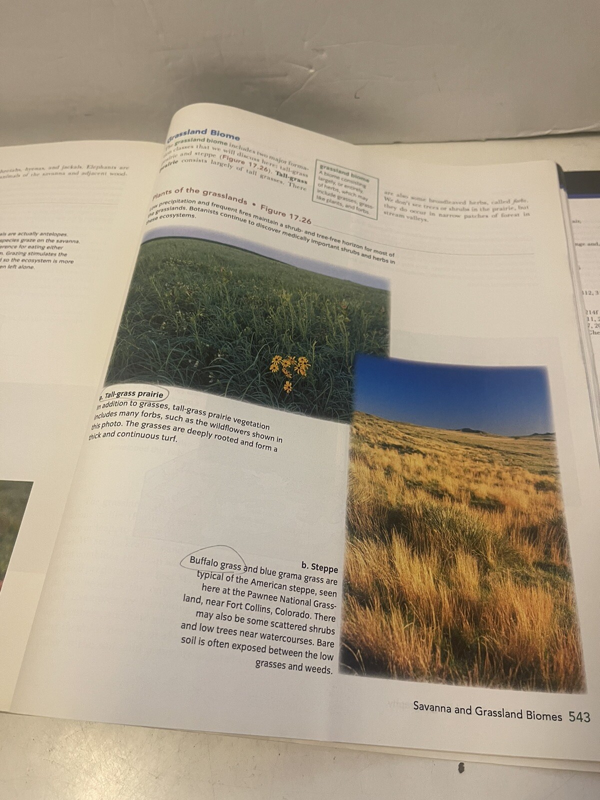 Visualizing Ser.: Visualizing Physical Geography by Timothy Foresman and Alan H.