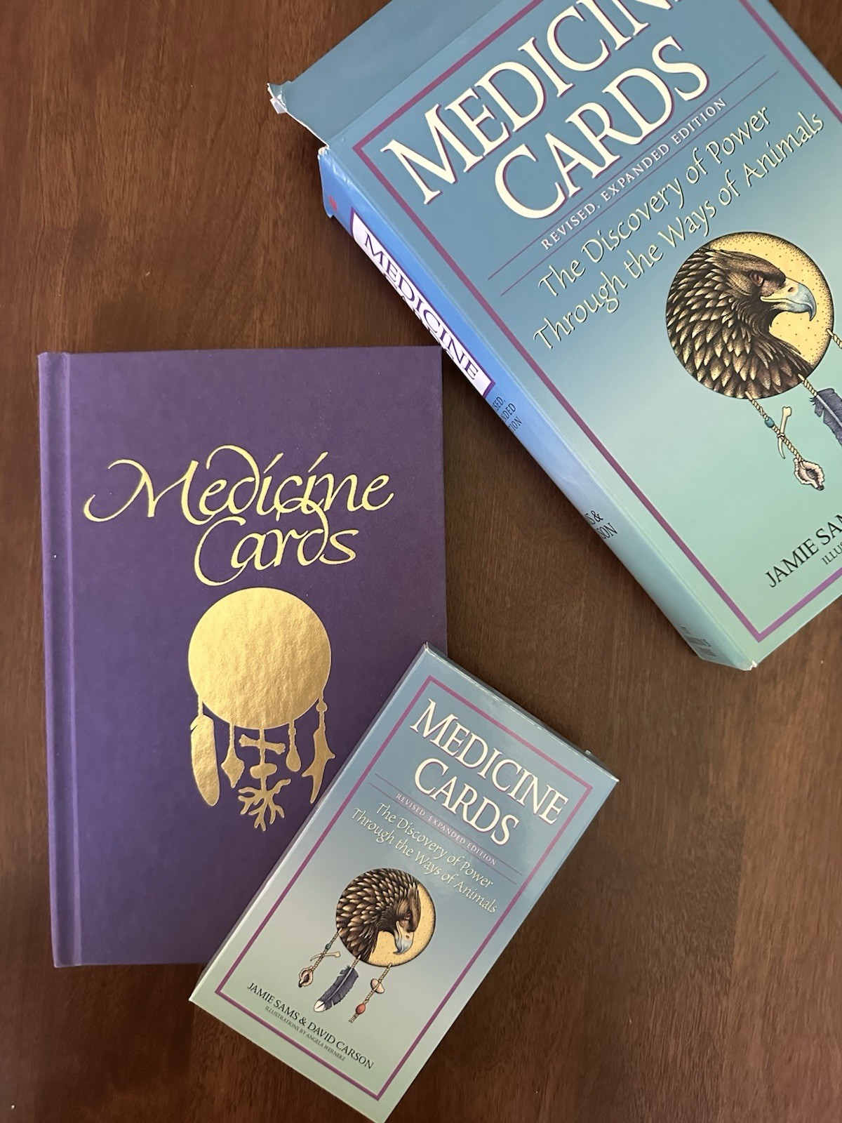 Medicine Cards Book & Card Deck SET by David Carson & Jamie Sams Revised 1999
