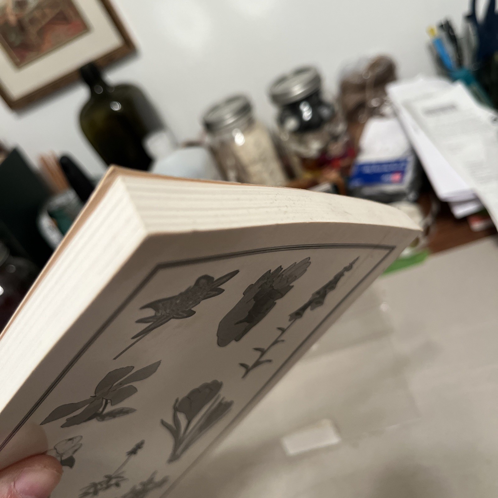 Herbal and Folk Medicine of Louisiana and the South Samuel Touchstone 1st Print