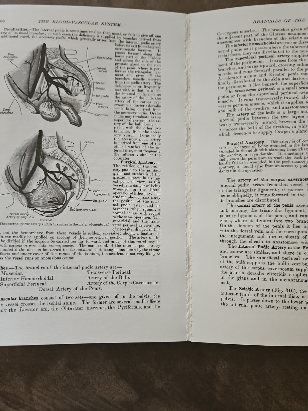 Gray’s Anatomy The Unabridged Running Press Edition of the American Classic VTG