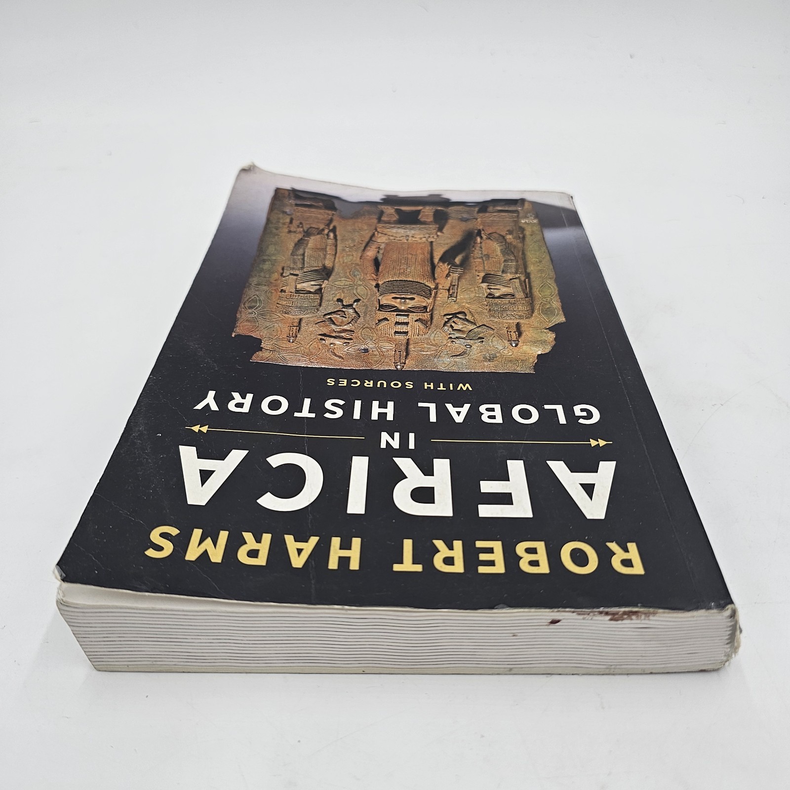 Africa in Global History by Harms | 1st Ed African World History Txtbook PB GOOD