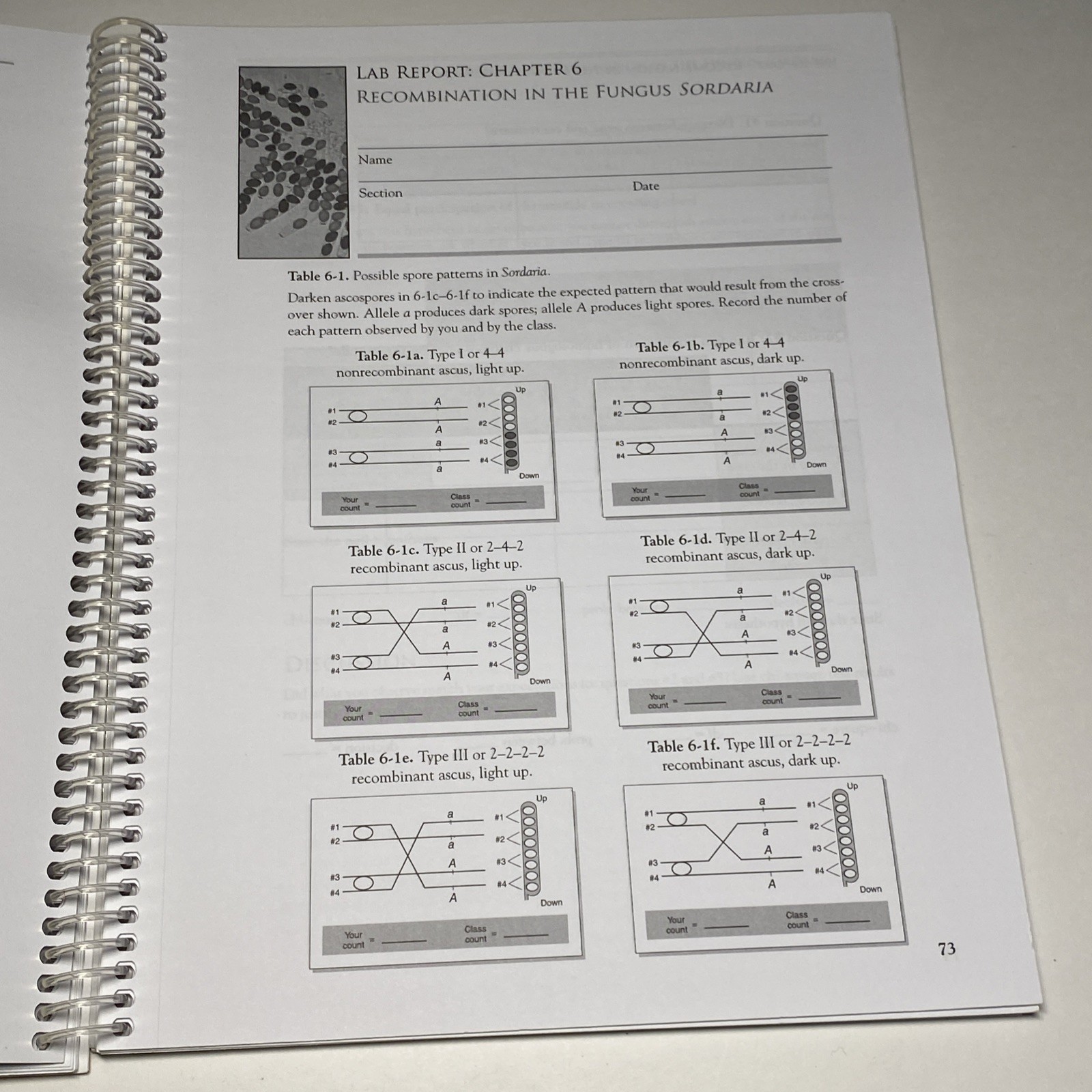 Genetics Laboratory Manual 8th Edition – Adamkewicz Einhorn Otto GMU
