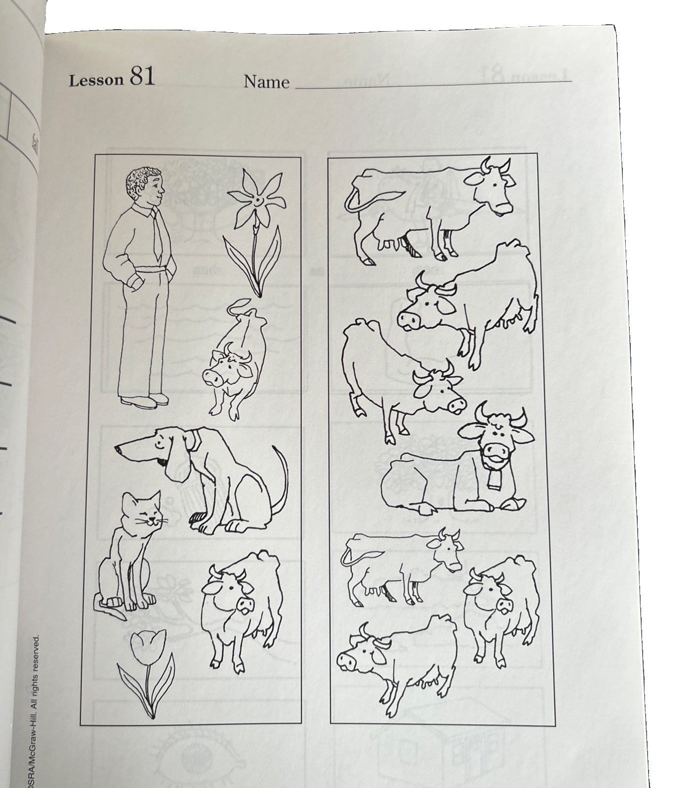 Language for Thinking Workbook