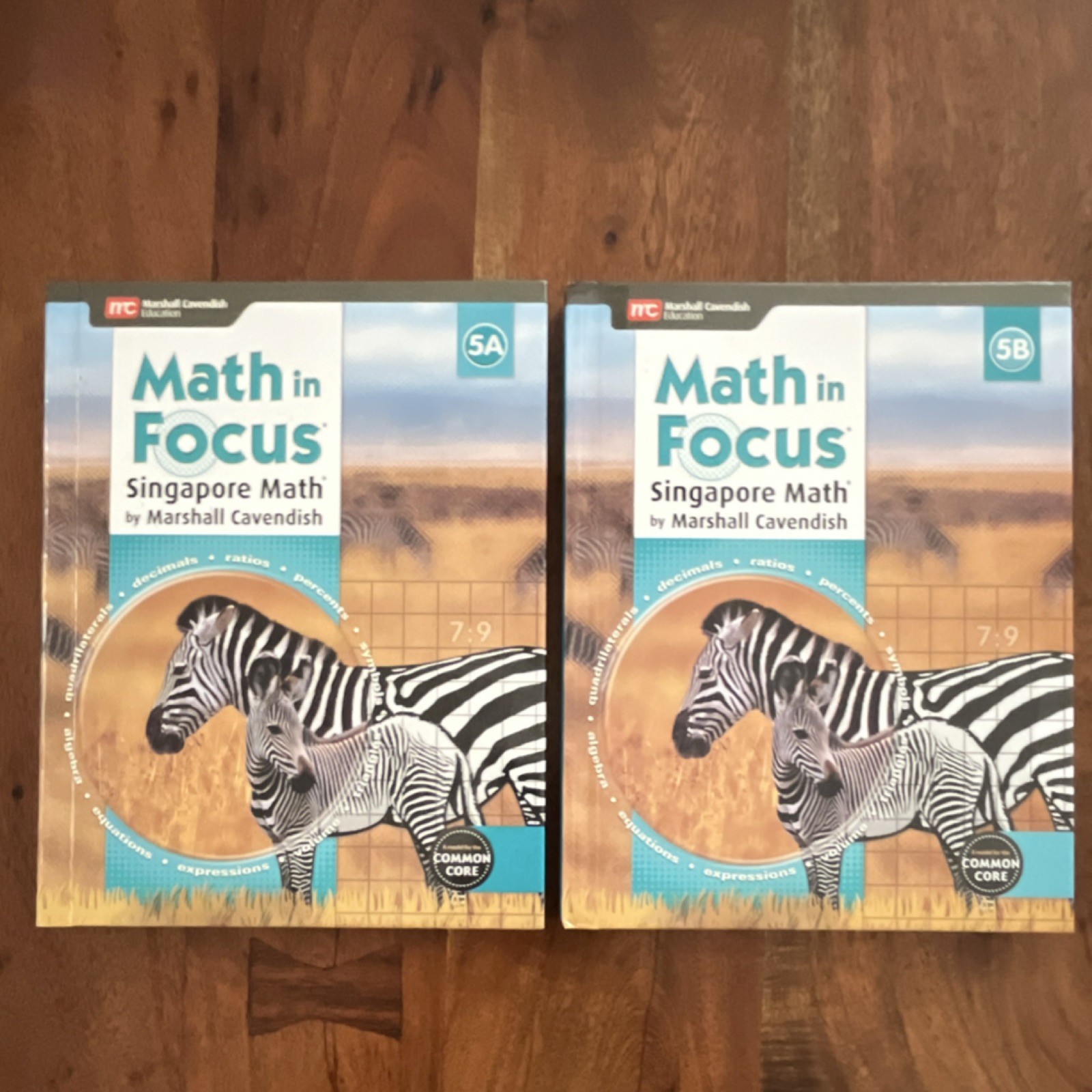 Marshall Cavendish Math in Focus Singapore Math Textbook 5A & 5B