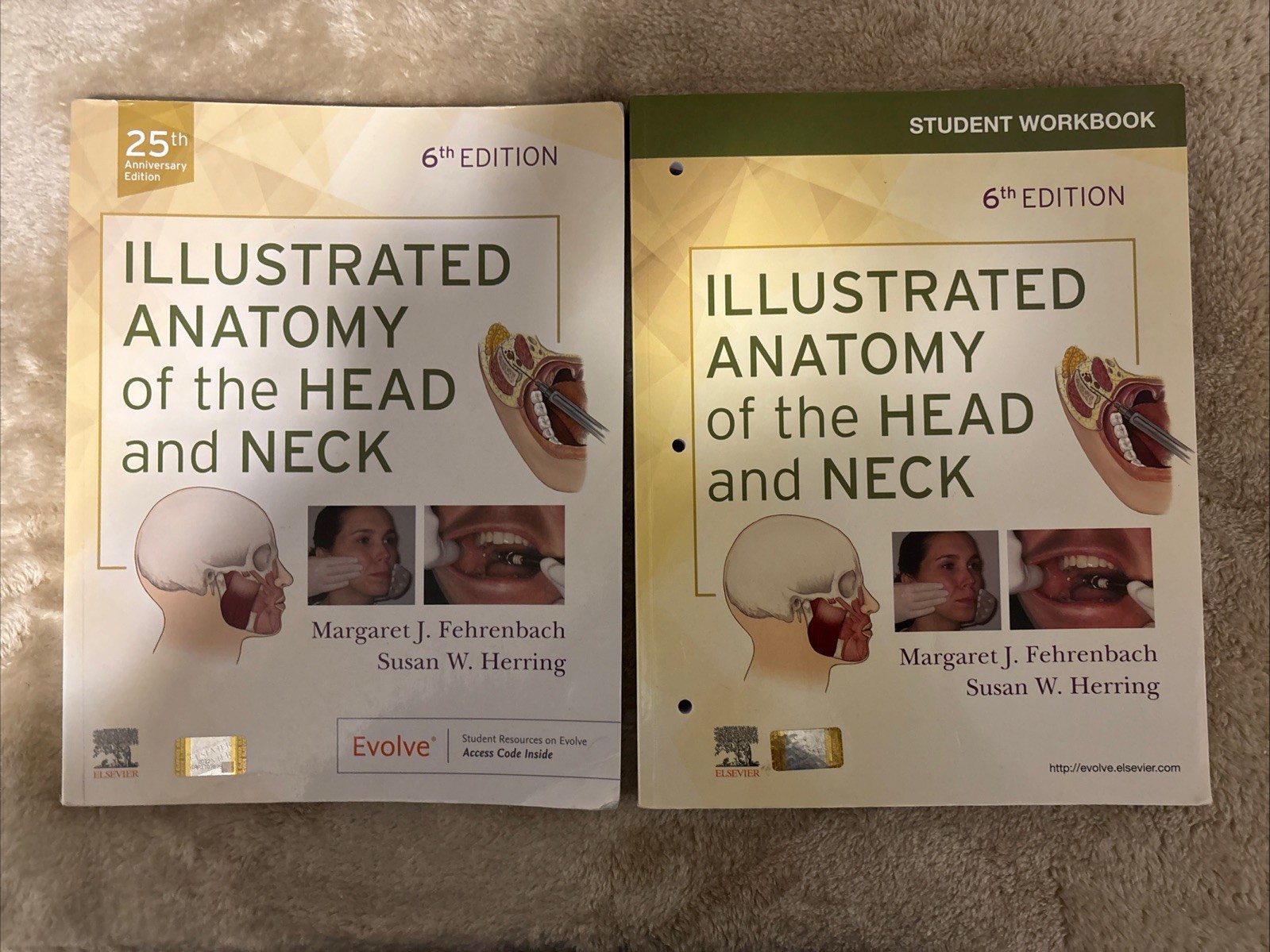 Illustrated Anatomy of the Head and Neck by Margaret J. Fehrenbach w/ workbook!