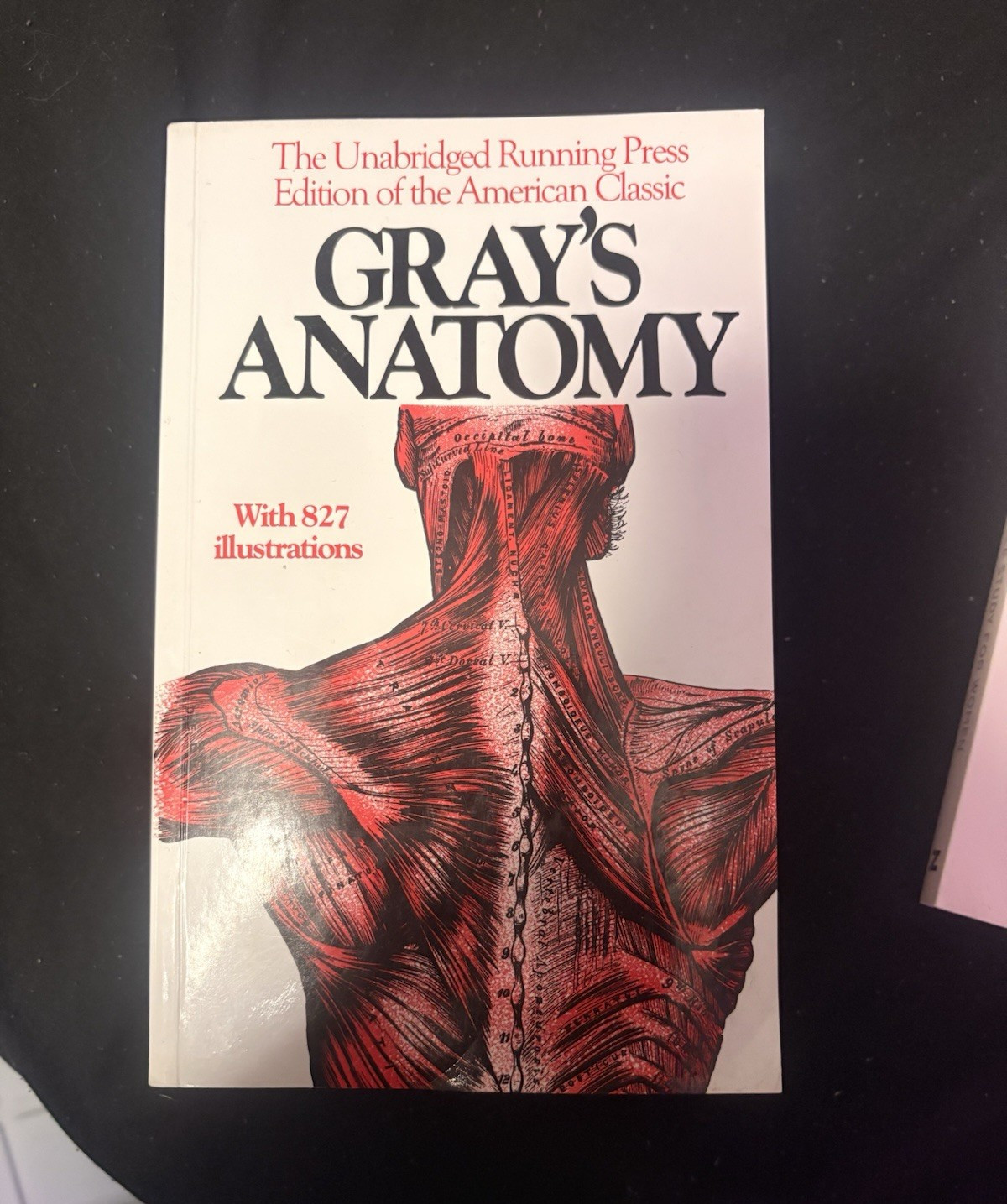 Running Press Gray’s Anatomy Paperback Illustrated 1257pp 1901 Henry Gray
