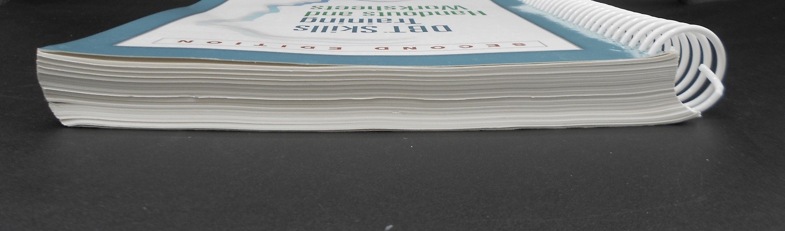 DBT SKILLS TRAINING HANDOUTS & WORKSHEETS 2nd ED by LINEHAN 2015 SPIRAL PB VG