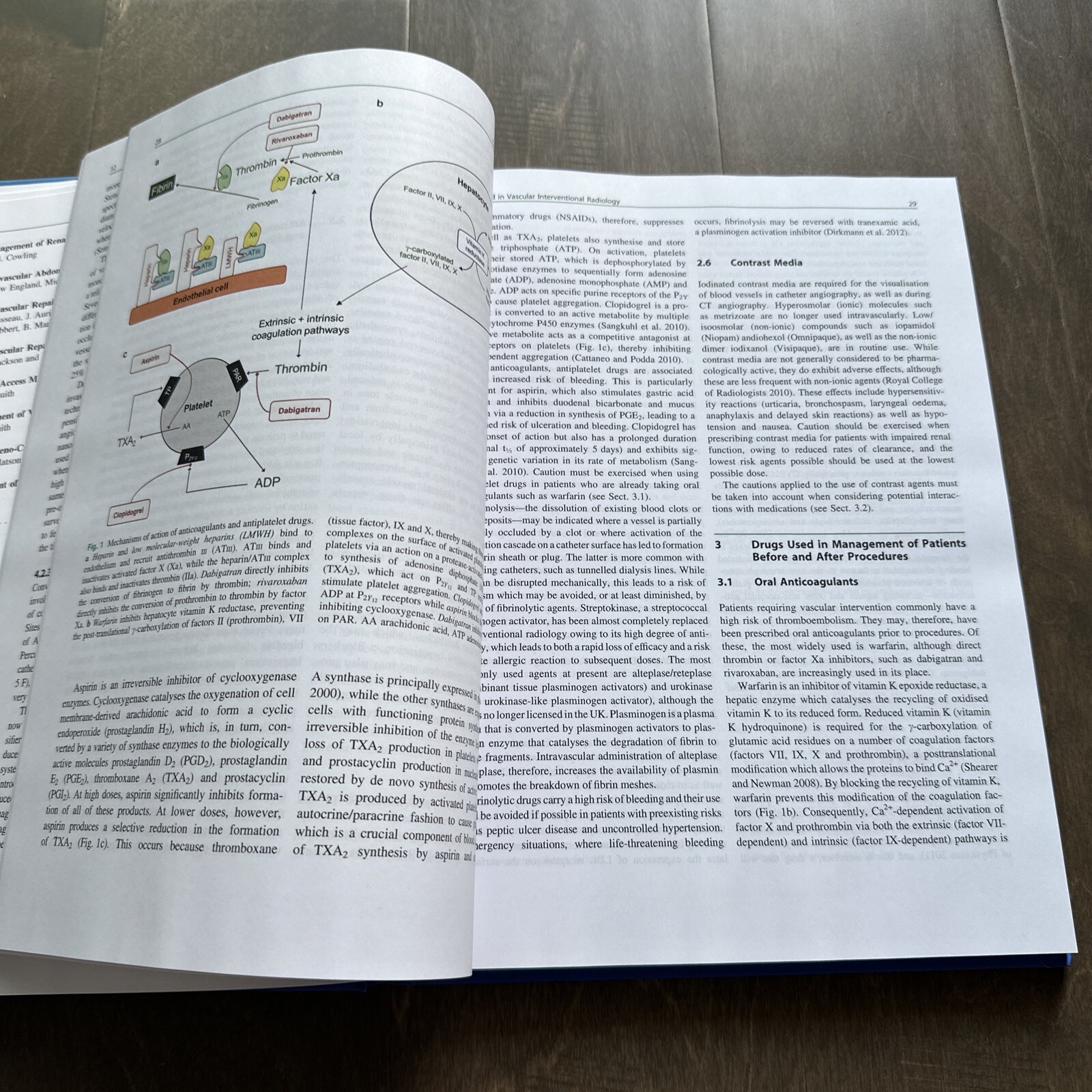 Vascular Interventional Radiology Current Evidence in Endovascular Surgery 2nd