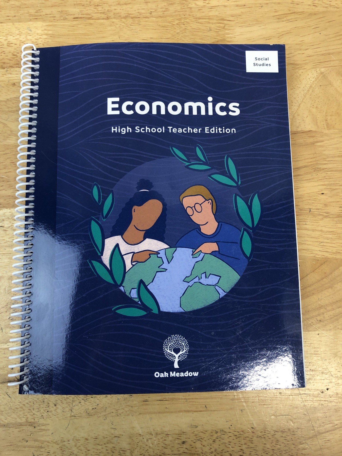 Oak Meadow High School Economics Teacher Edition + The Economics Book Textbook