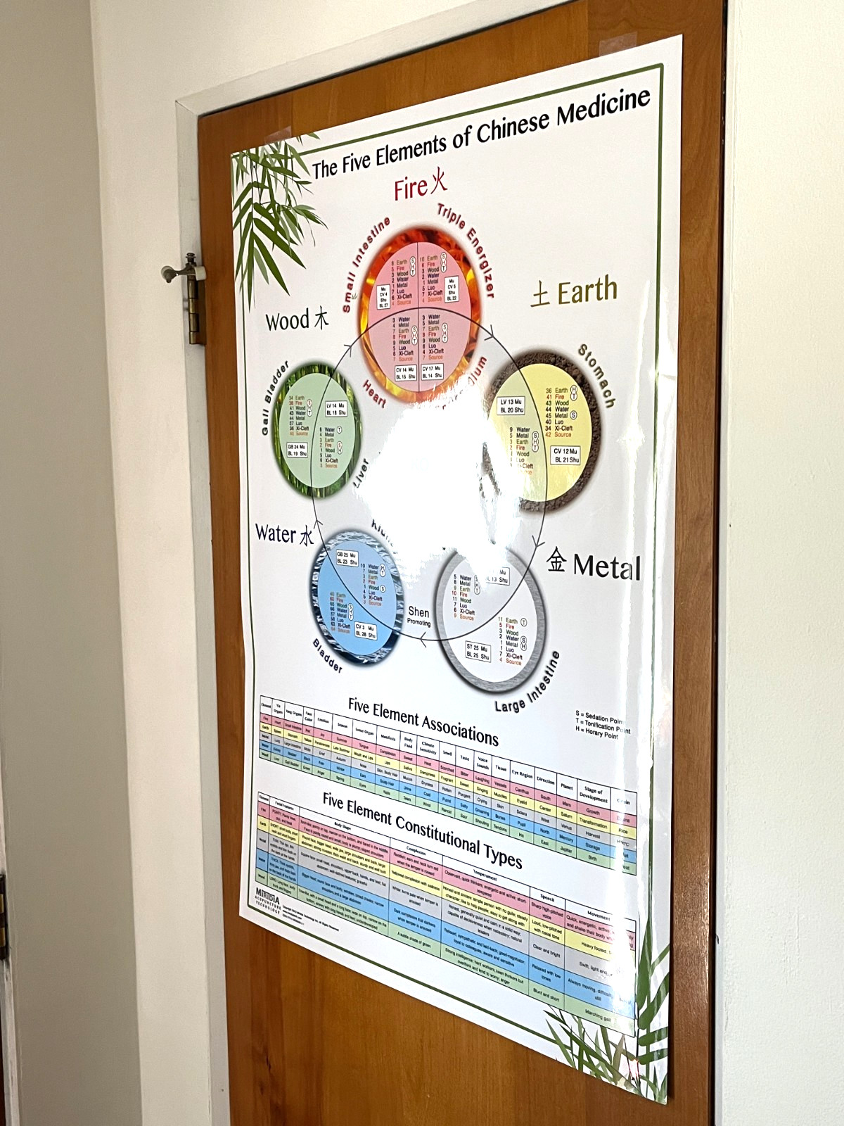Laminated Wall Chart The Five Elements of Chinese Medicine Miridia Acupuncture