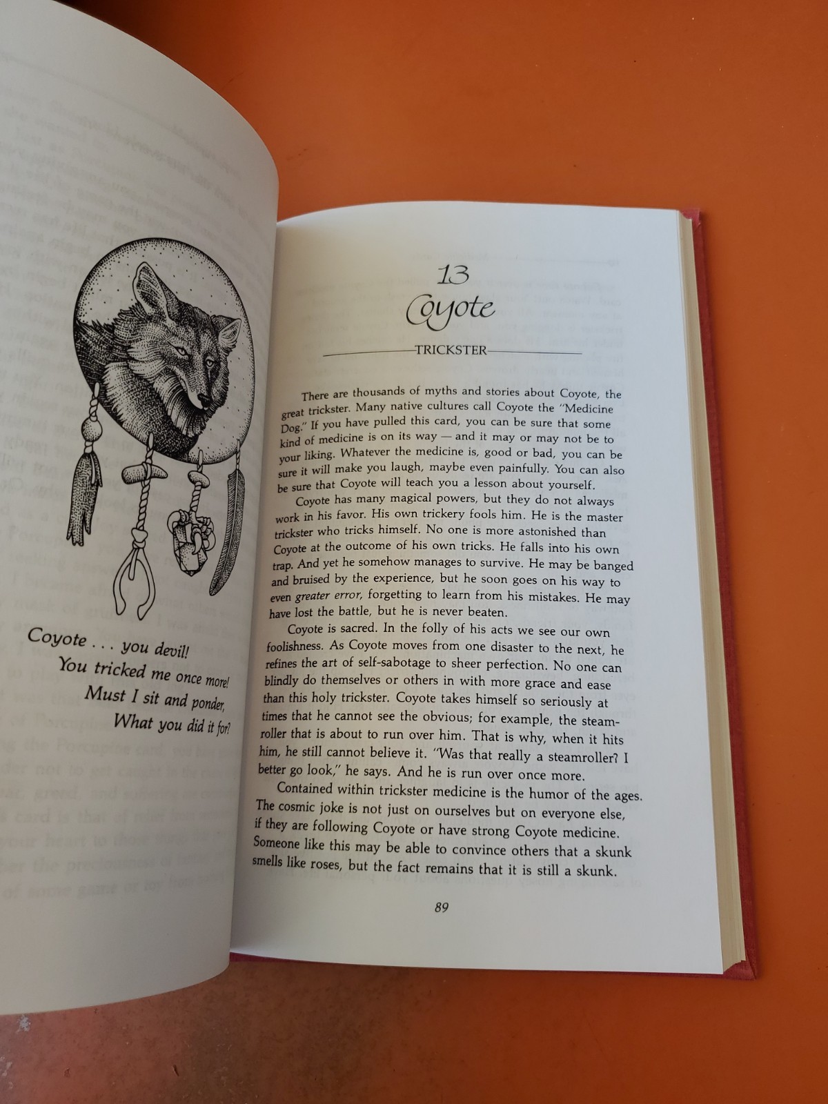 Medicine Cards Book & 54 Card Deck by David Carson and Jamie Sams – 1988