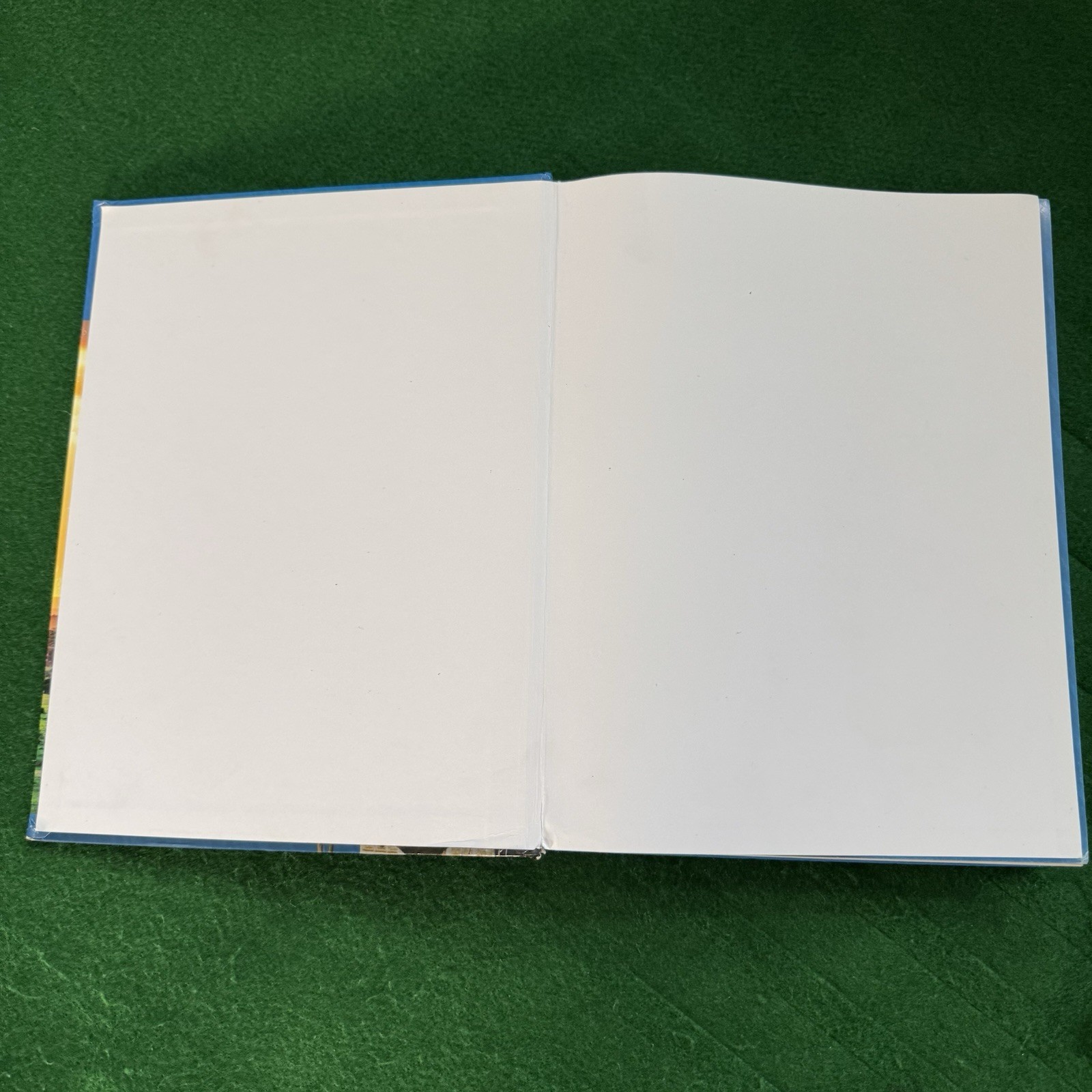 Christian Light Education Grade 5 Mathematics Math In Many Nations Hardcover 📚