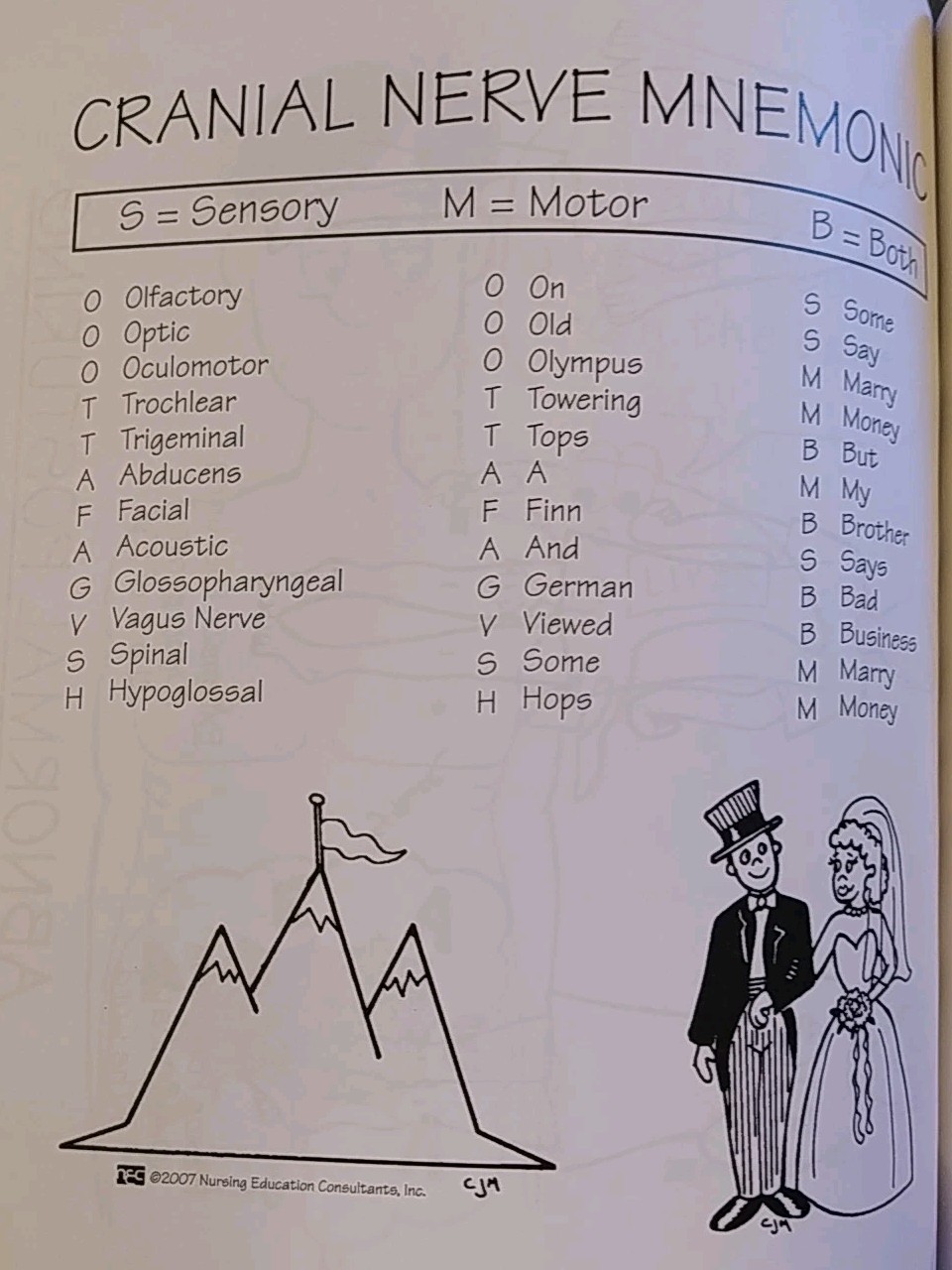Memory Notebook of Nursing, Vol. 1: A Collection of Visual Images and Mnemon…