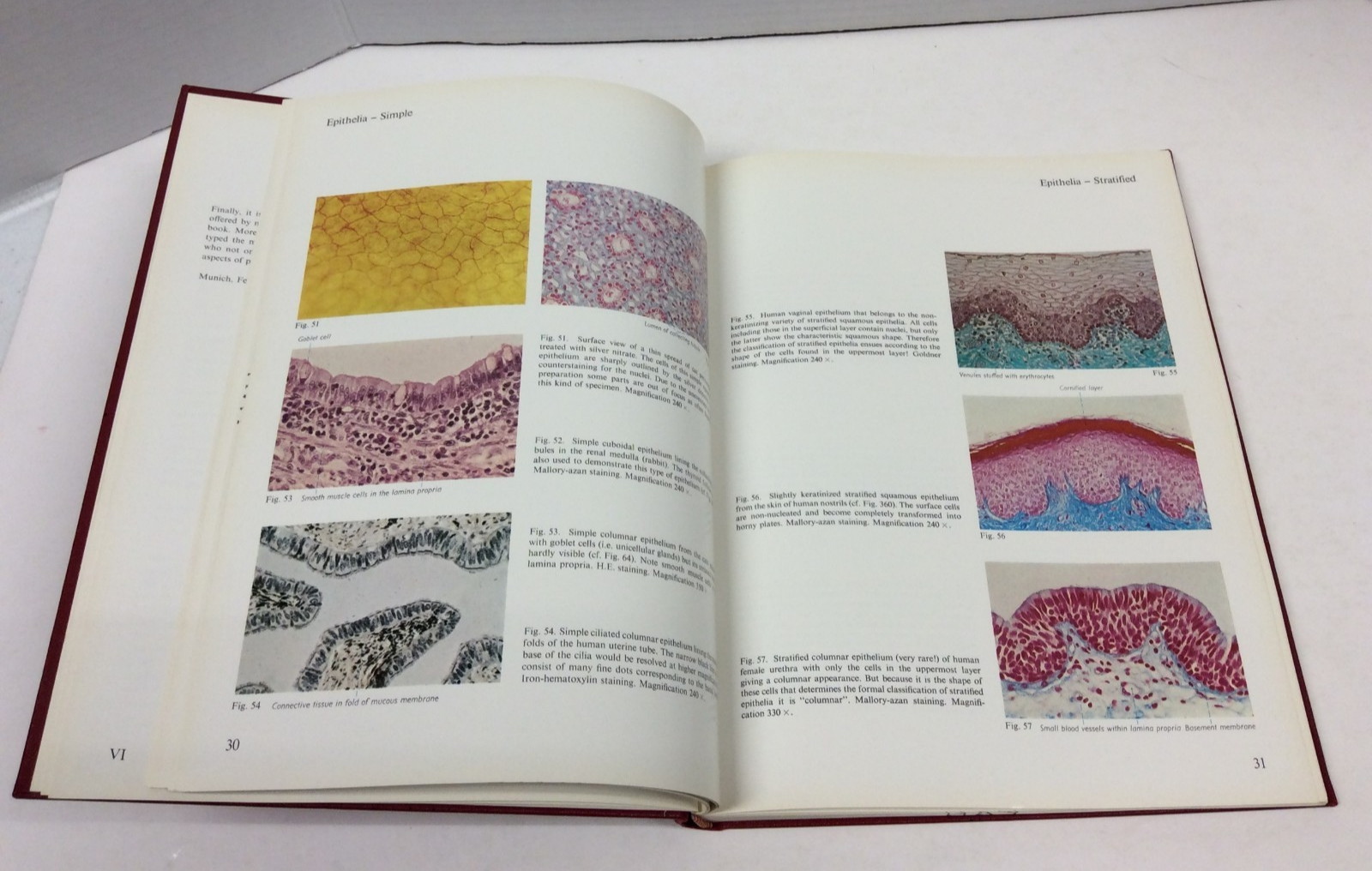 HISTOLOGY: A COLOR ATLAS Sobotta/Hammersen Illustrated HC 1976