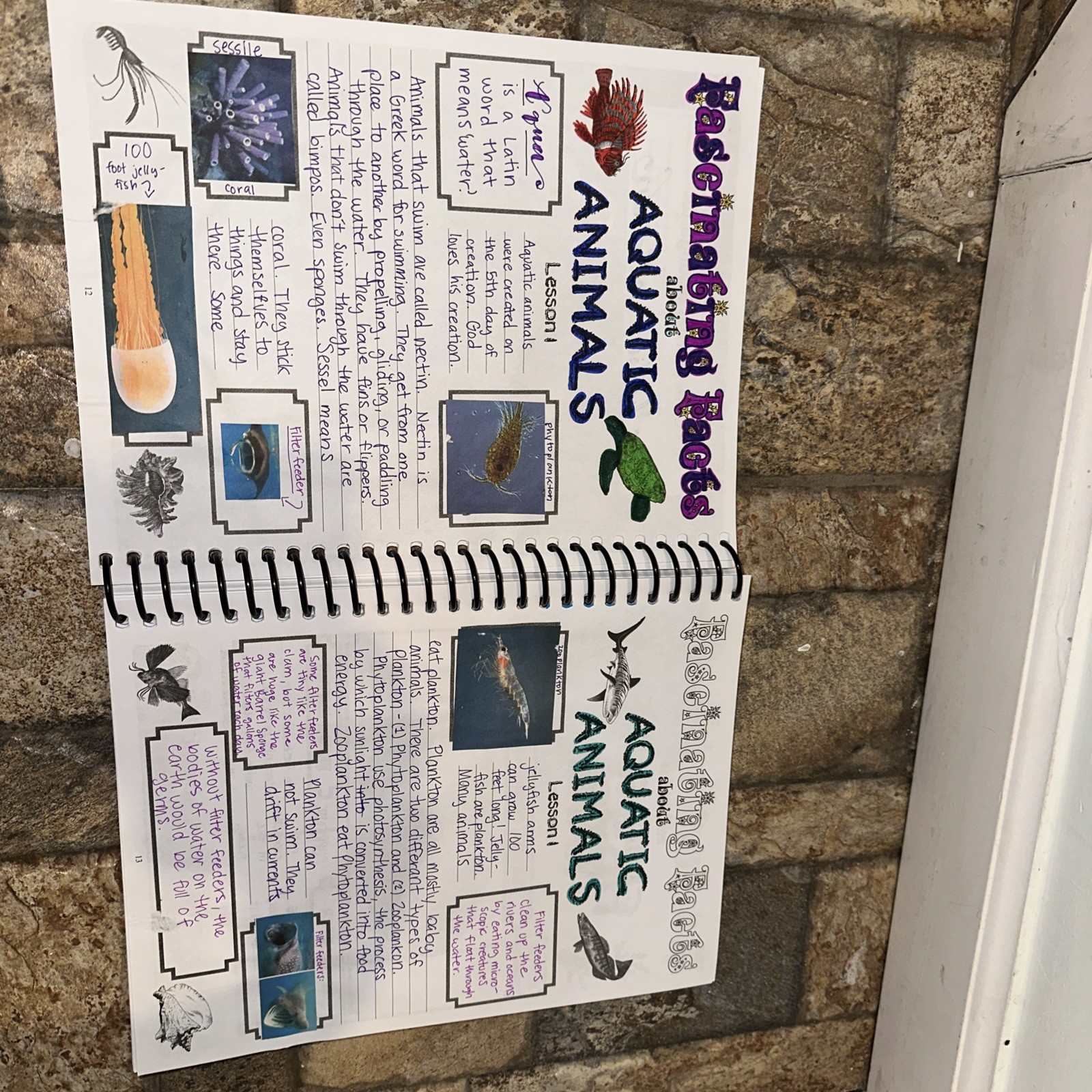 Exploring Creation with Zoology 2 Notebooking Journal by Jeannie Fulbright…