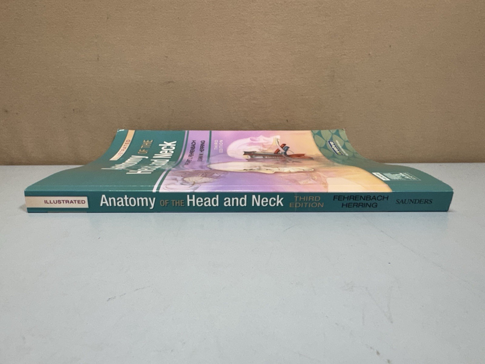 Illustrated Anatomy of the Head and Neck by Margaret J Fehrenbach Susan W Herrin