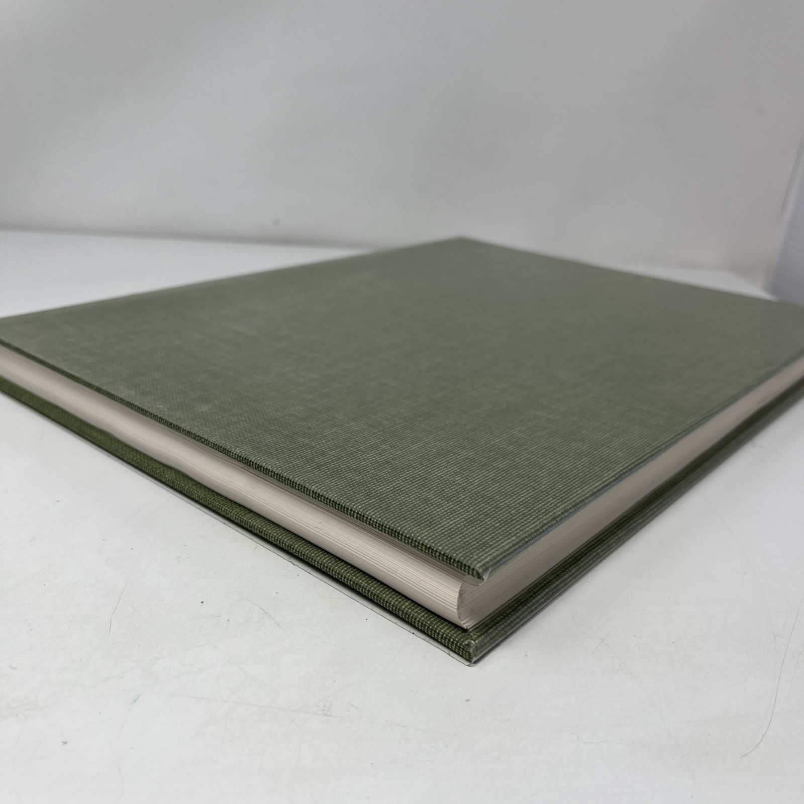The CIBA Collection of Medical Illustrations Volume 8 Frank H. Netter