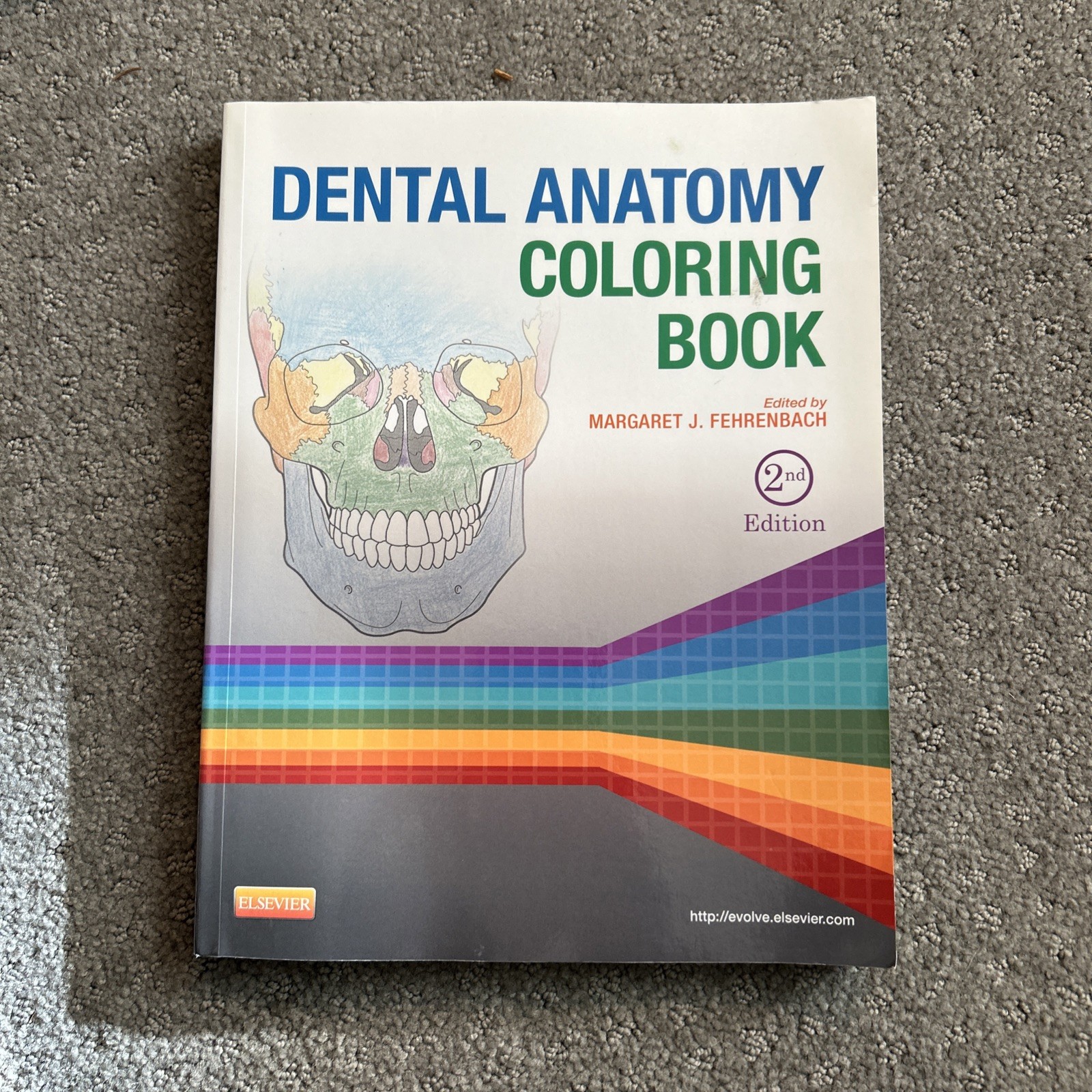 Dental Anatomy Coloring Book by Margaret J. Fehrenbach 2013, Trade Paperback