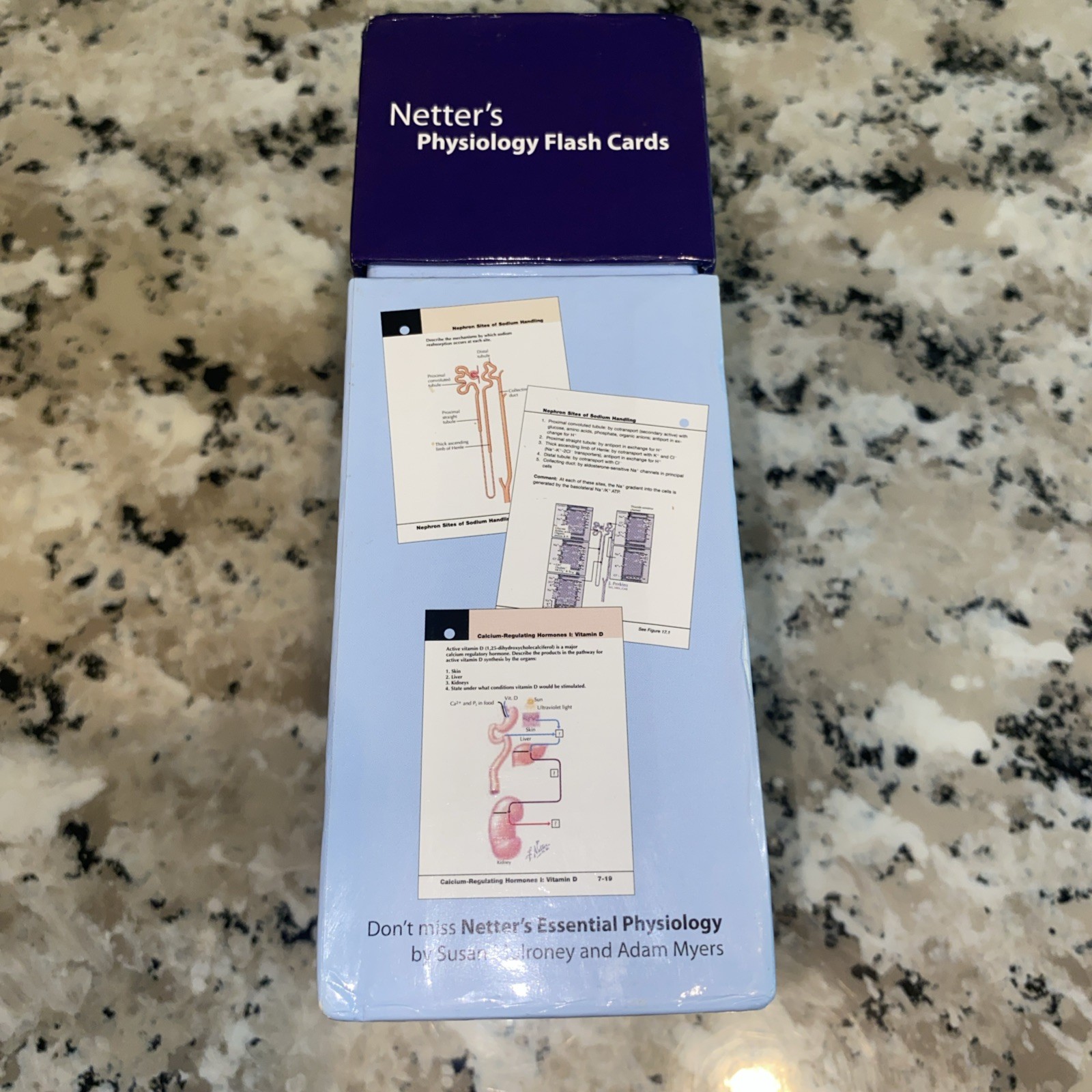 Netter Basic Science Ser.: Netter’s Physiology Flash Cards