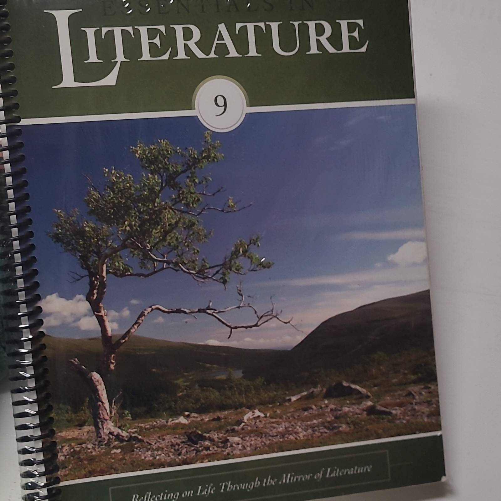 Essentials in Literature Level 9 High School Literature Stephens Spiral Textbook