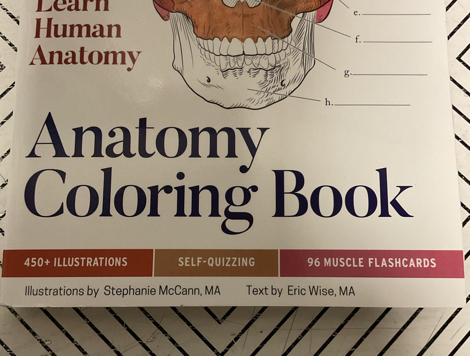 🥥 Anatomy Coloring Book with 450+ Realistic Medical Illustrations🆕