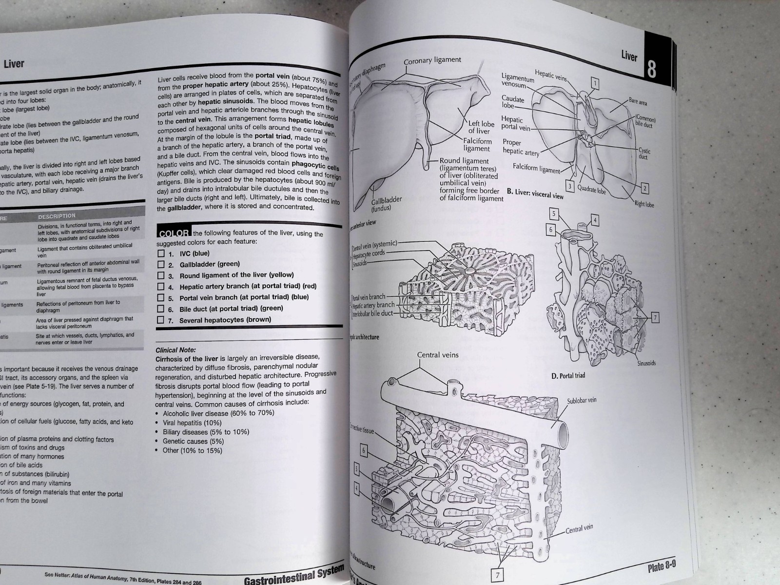 Netter’s Anatomy Coloring Book by – John T. Hansen, 2nd Ed, Large Paperback 2018