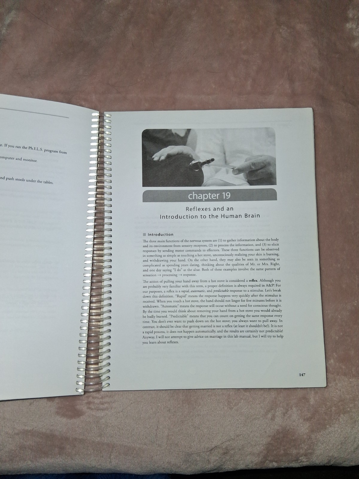 Hayden McNeil Anatomy & Physiology I & II Lab Manual Spiral Bound Illustrated