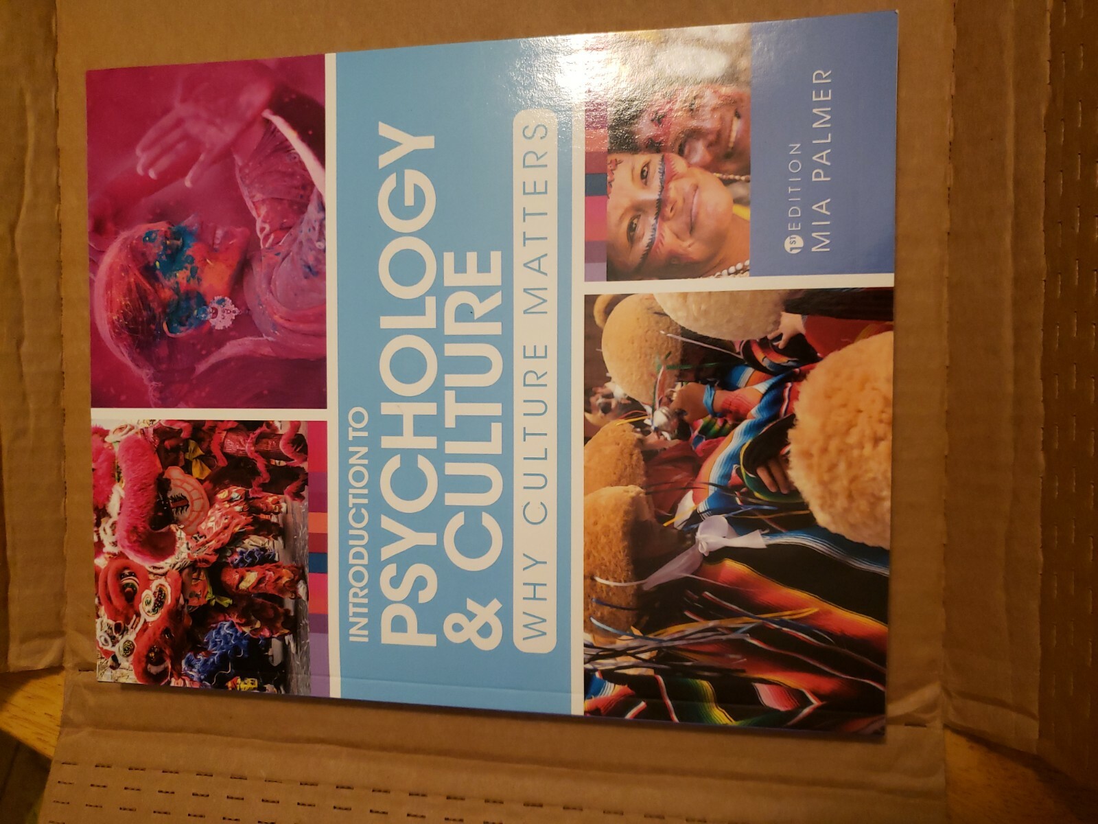 Introduction to Psychology and Culture: Why Culture Matters by Mia Palmer NEW