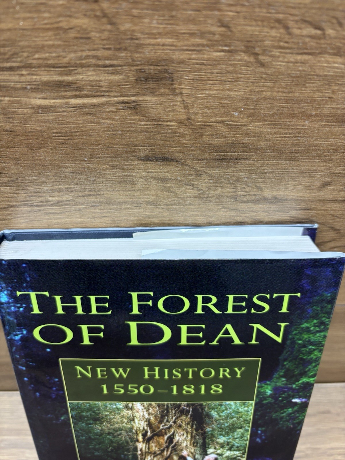 1995 1st Ed. Forest of Dean: New History 1550-1818 by Cyril Hart Hardback sh48