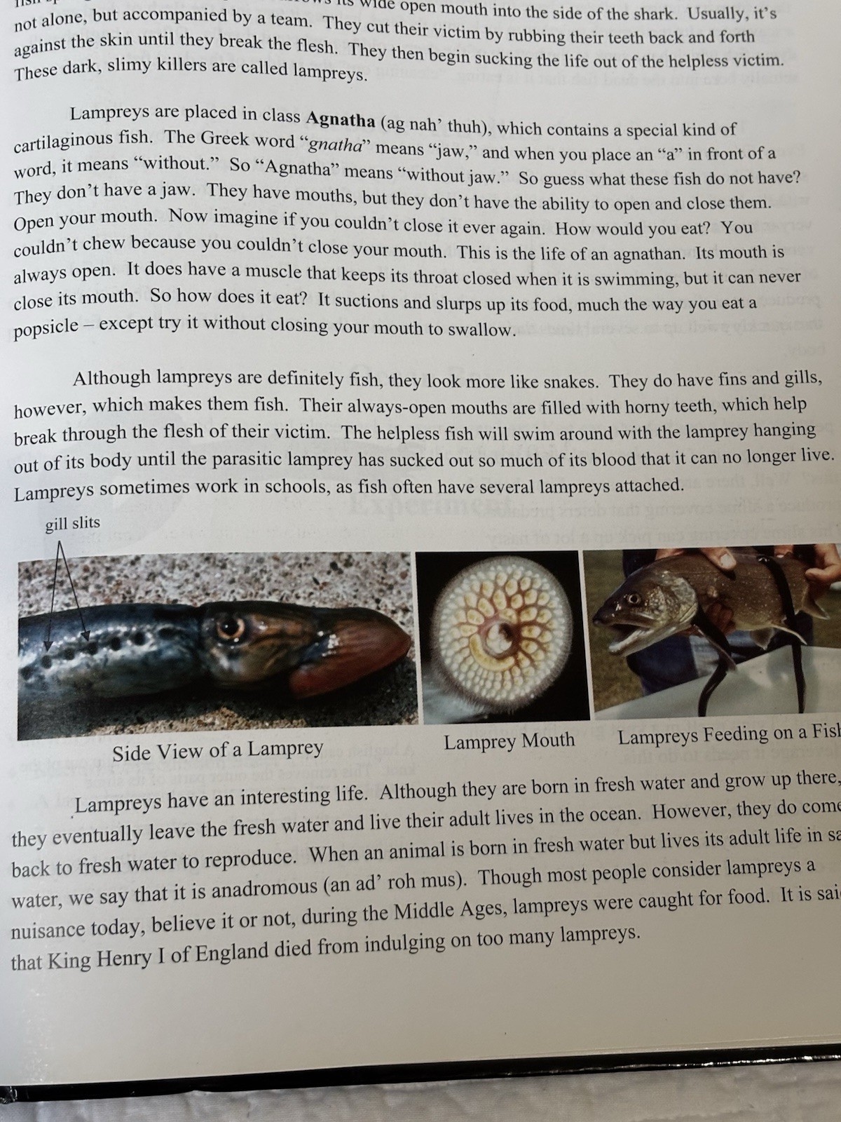 Exploring Creation With Zoology Vol 1 Young Explorers Series Fulbright Apologia