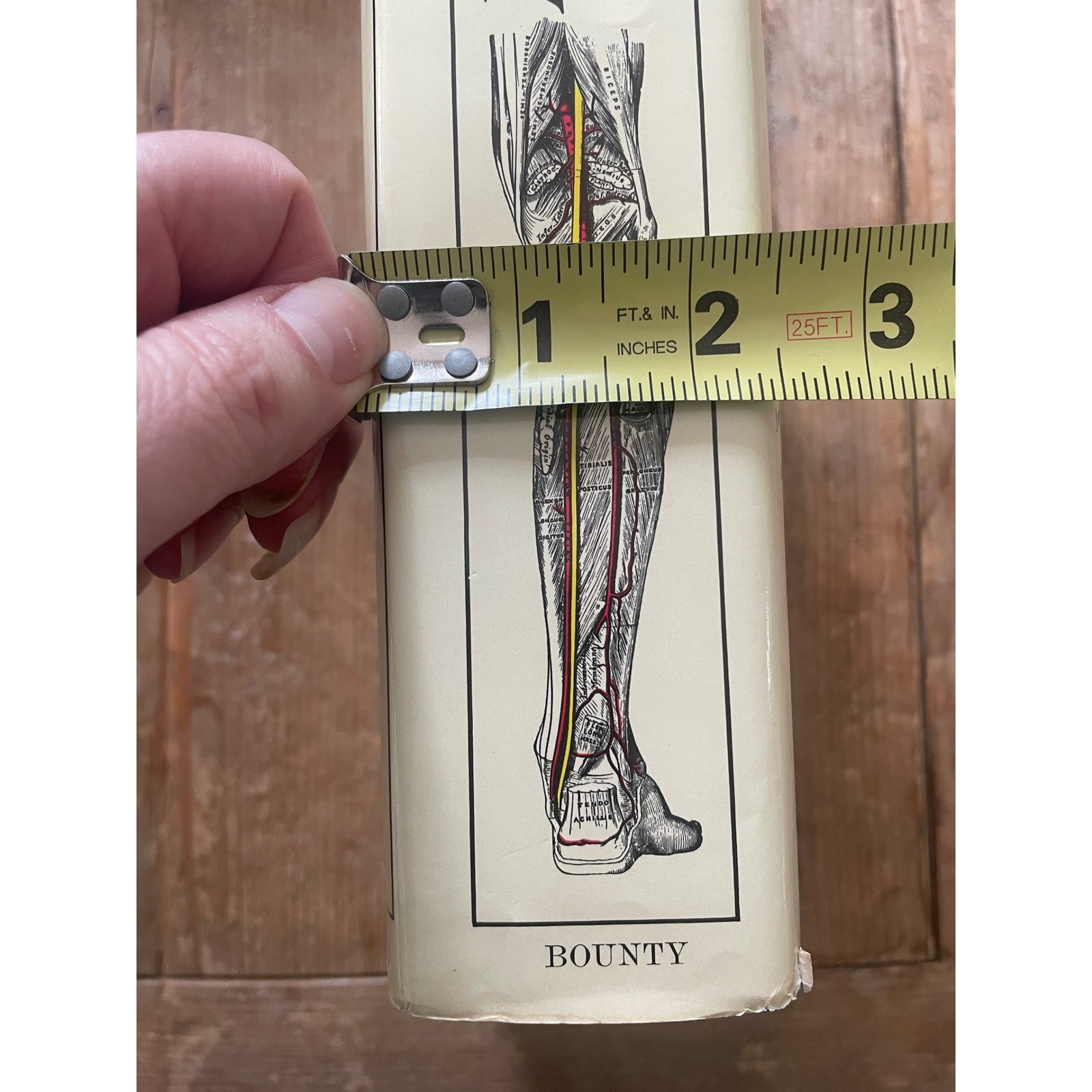 Gray’s Anatomy Classic Collector’s Edition 1977 Bounty Books Hardcover Medical