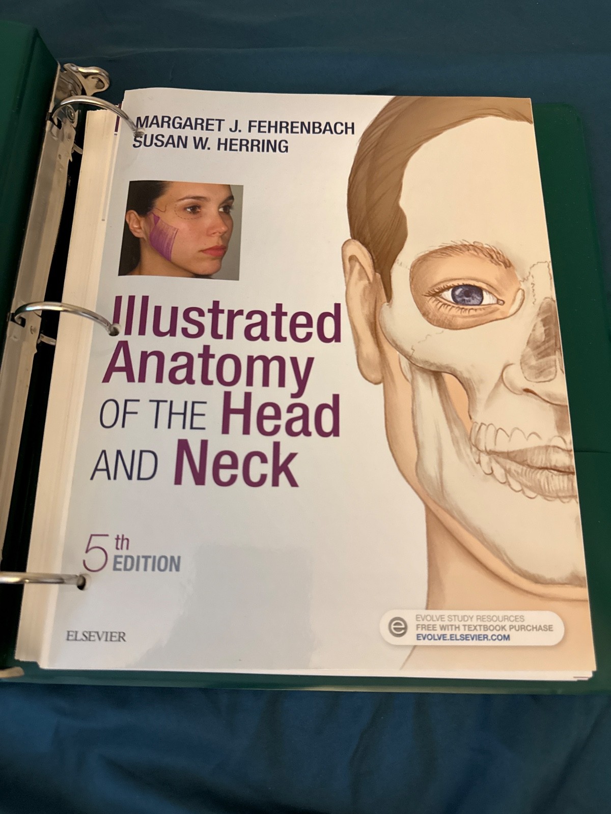 Illustrated Anatomy of the Head and Neck by Margaret J. Fehrenbach and Susan W.