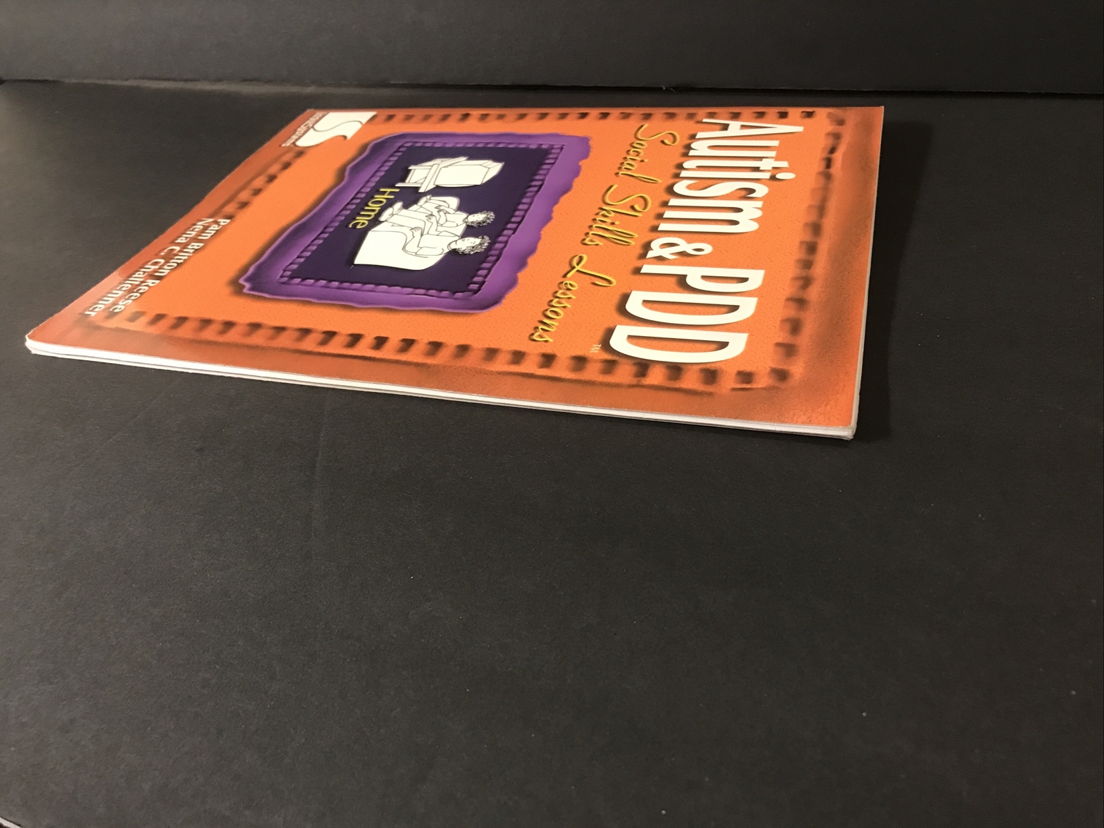 AUTISM & PDD SOCIAL SKILLS LESSONS – Linguisystems
