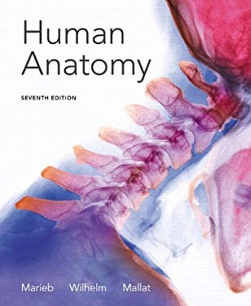 Human Anatomy Elaine N., Wilhelm, Patricia Brady, Mallatt, Jon B.