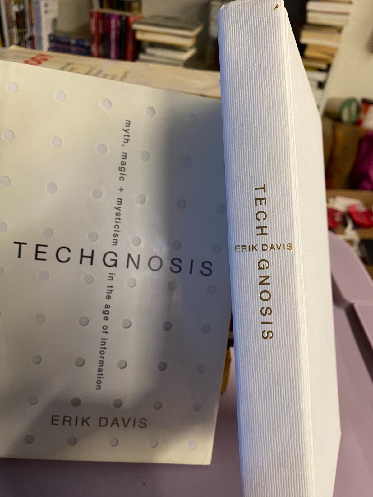 TECHGNOSIS Erik Davis 1998 Harmony Books 1st Edition Cyberculture Hardcover RARE