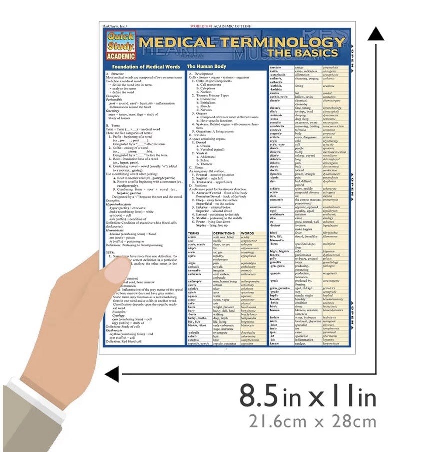 Medical Terminology The Basics Tri-Fold Laminated Reference Study Guide NEW