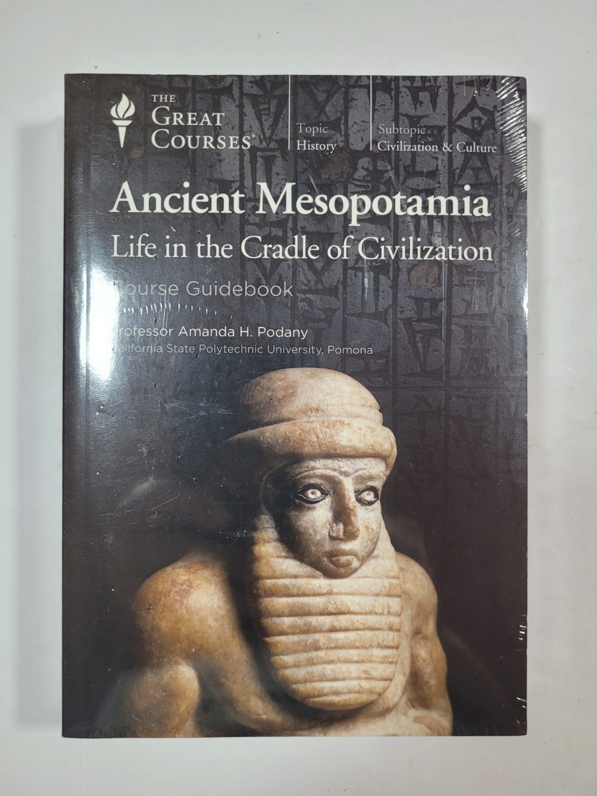 THE GREAT COURSES – ANCIENT MESOPOTAMIA – 2018 – PODANY – DVD/BOOK – NEW SEALED