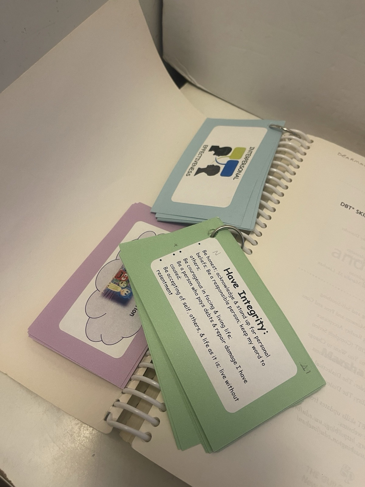 DBT Skills Training Handouts and Worksheets 2014 Spiral Bound Paperback