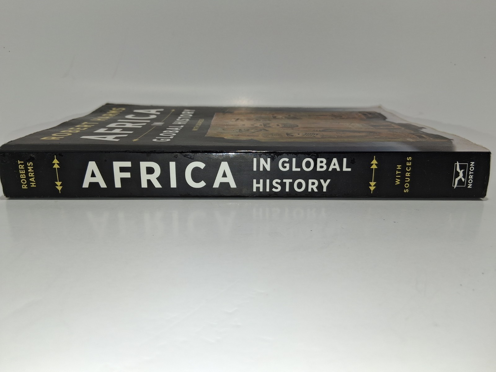 Africa in Global History with Sources – Paperback, by Harms Robert 1st Edition!
