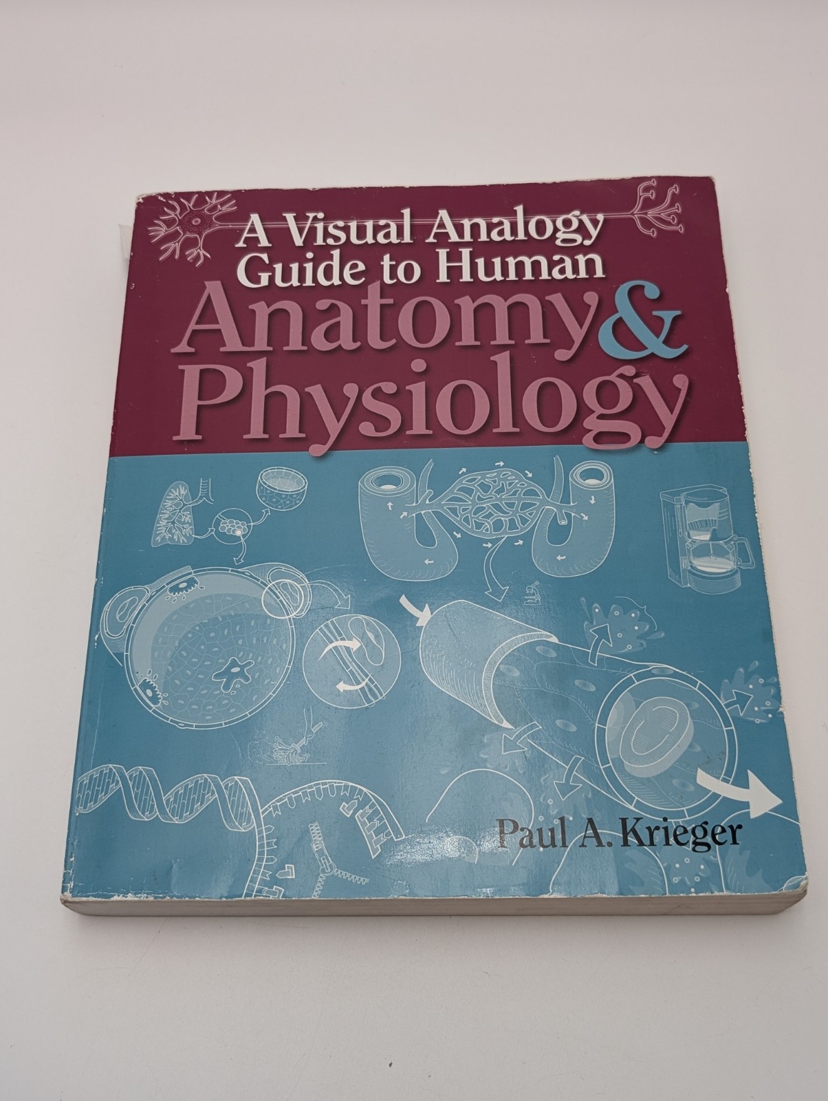 Visual Analogy Guide to Anatomy and Physiology by Paul A. Krieger (2009,…
