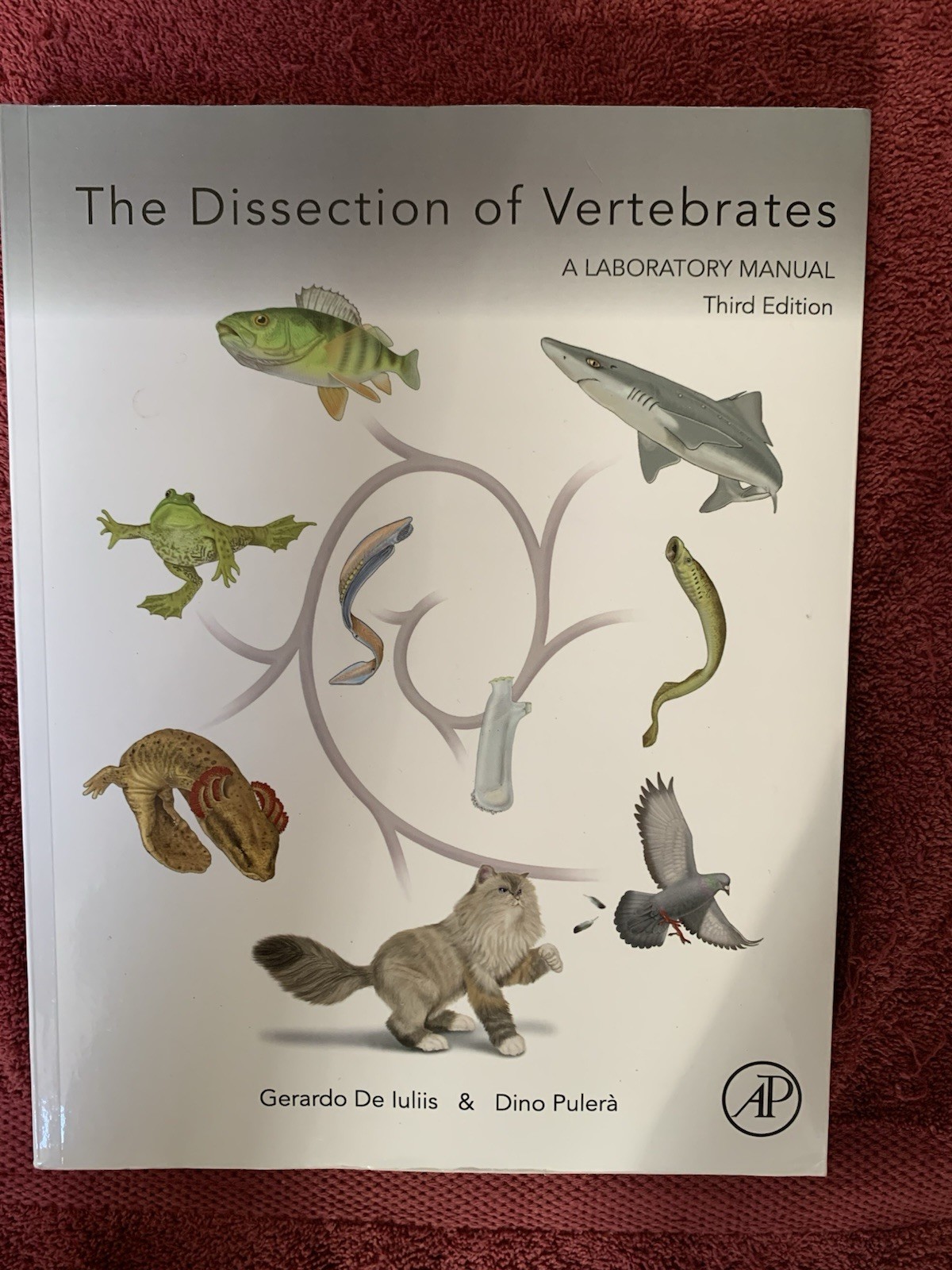 Dissection of Vertebrates by Dino Pulerà and Gerardo De Iuliis (2019, Trade…