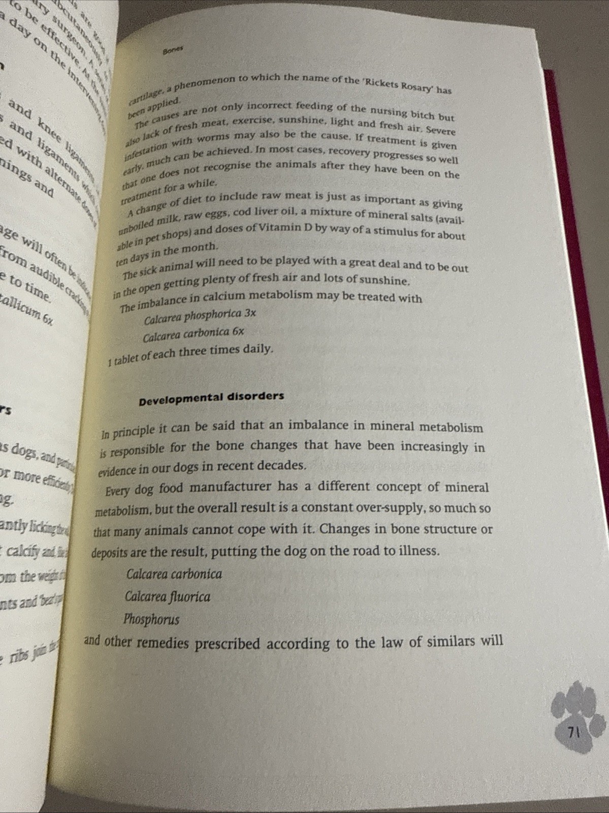 HOMOEOPATHIC MEDICINE FOR DOGS: A HANDBOOK FOR VETS Pet Owners By Wolff 1998 PB