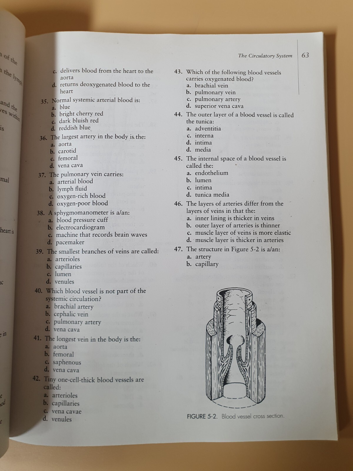 Phlebotomy Exam Review/By Ruth E.McCall & Cathee M.Tankersley (1997)