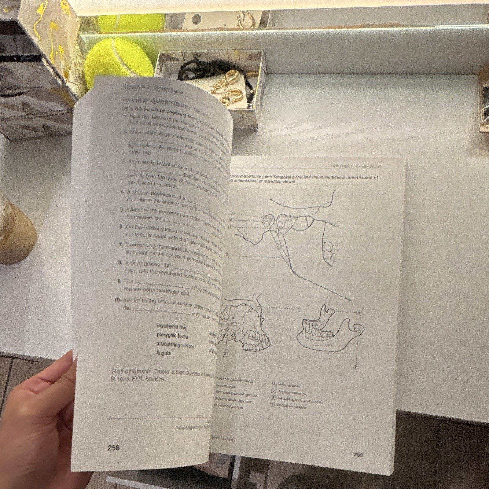 Elsevier Dental Anatomy Coloring Book 4th Ed PB Margaret J. Fehrenbach 2021