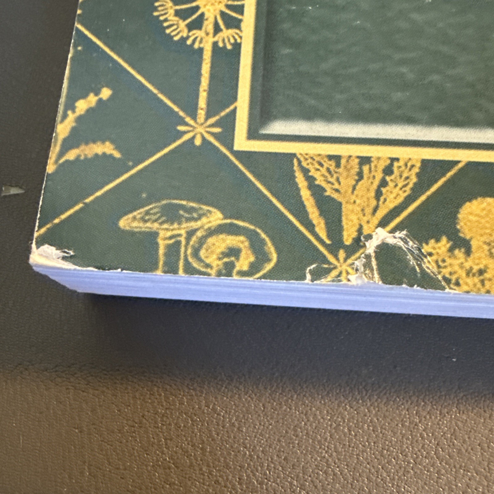 The Lost Book of Herbal Remedies