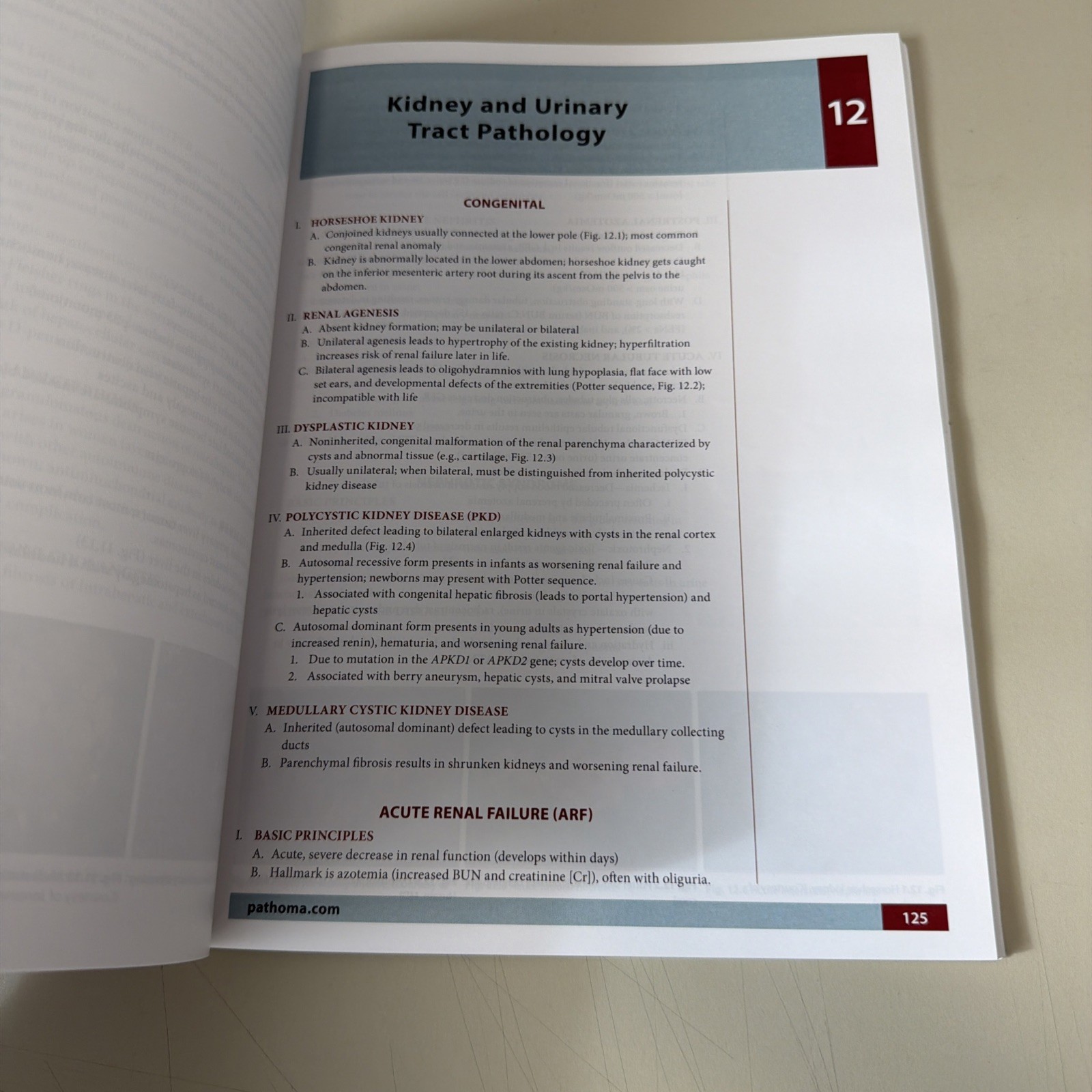 Fundamentals of Pathology by Hussain A. Sattar (2019 Paperback)